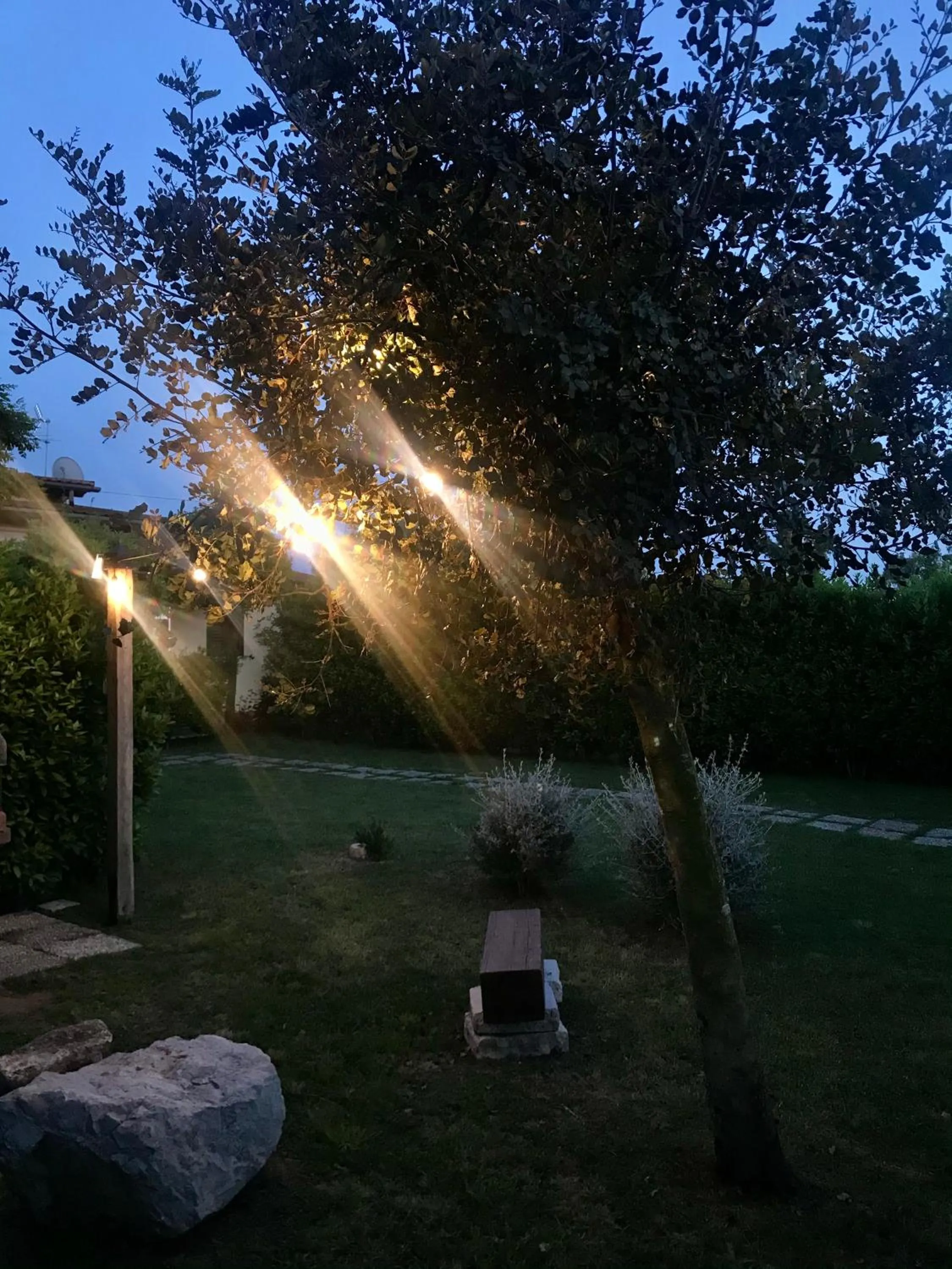 Garden in I Lecci Guesthouse