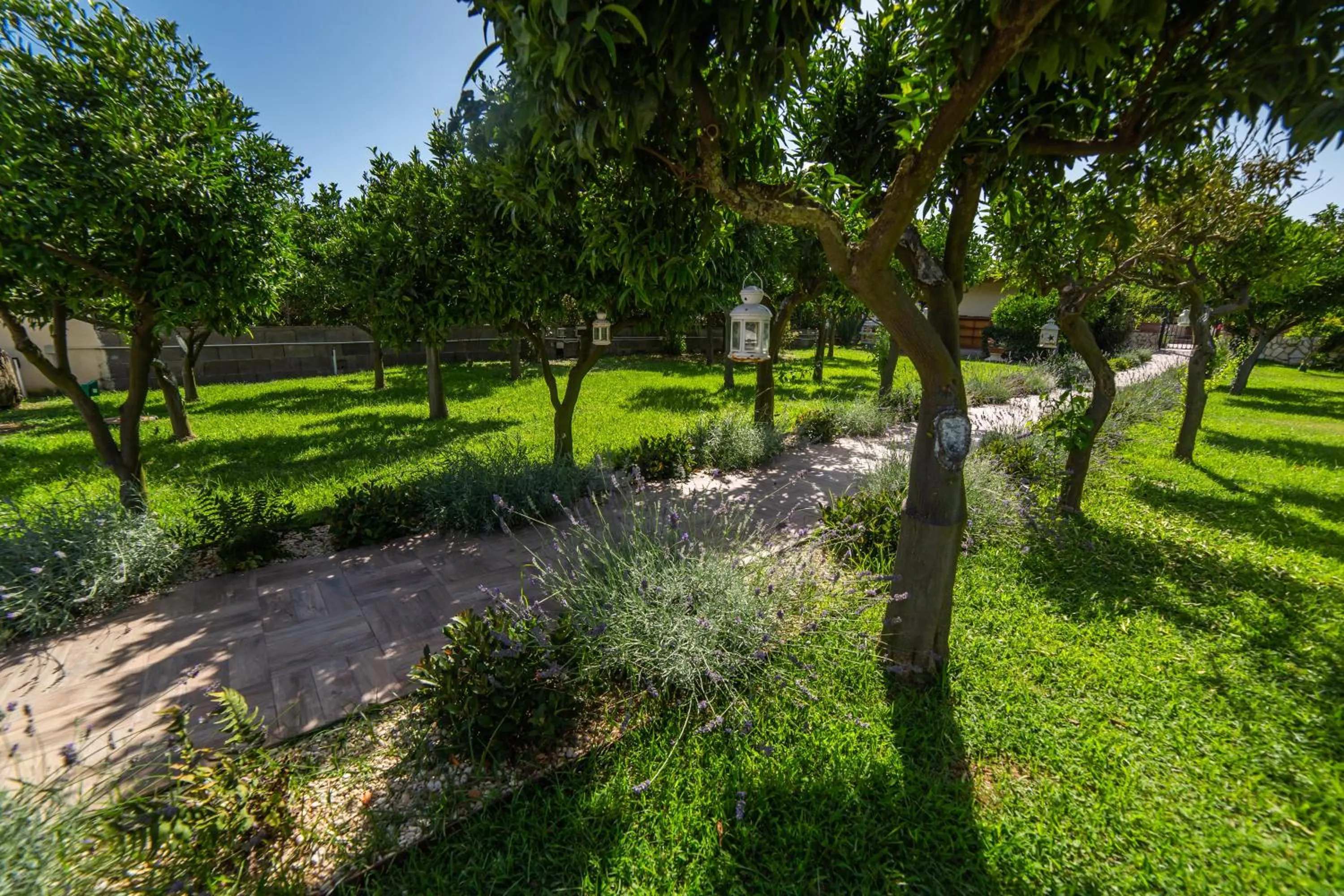 Garden view in I Lecci Guesthouse