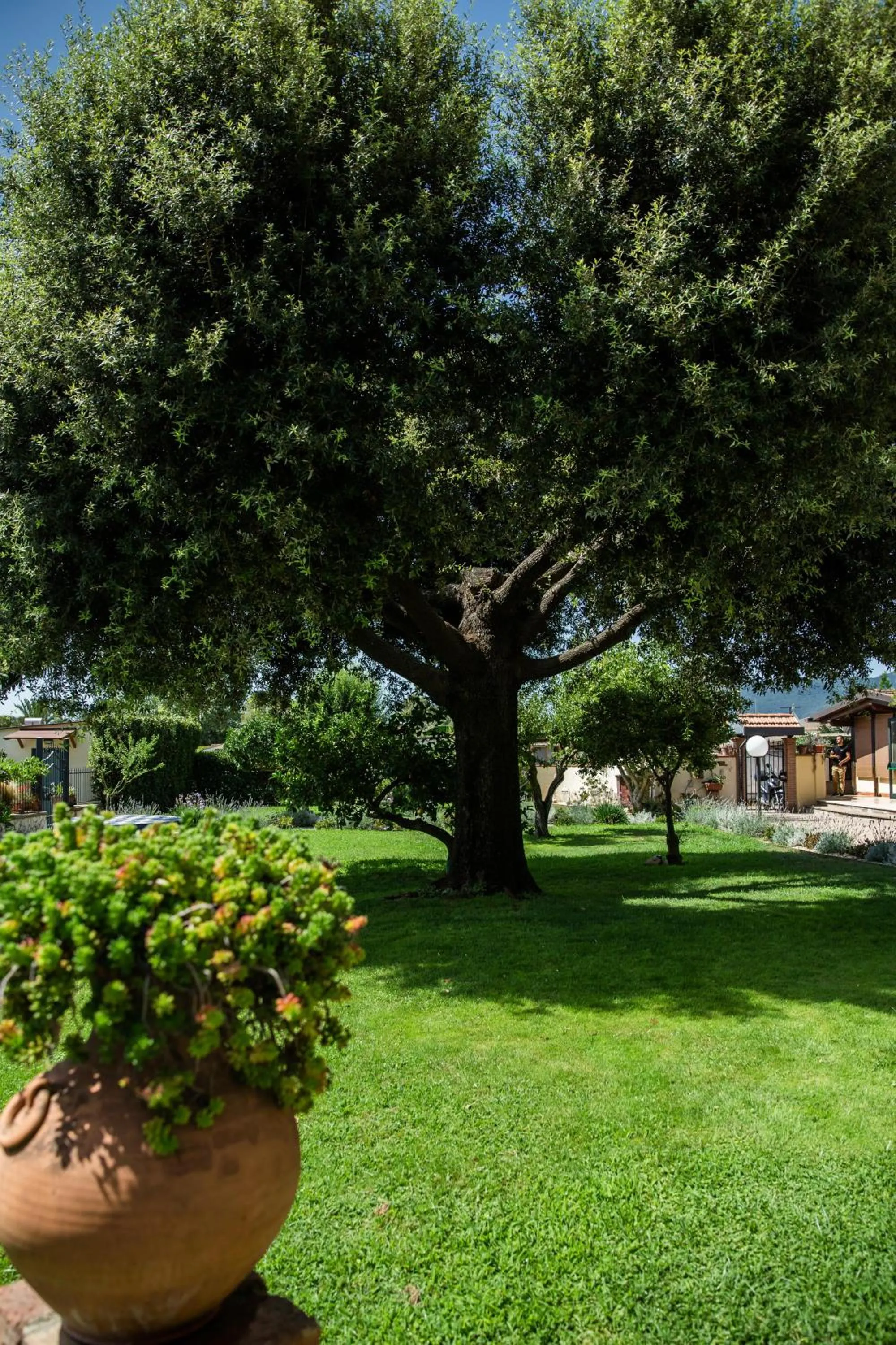 Garden in I Lecci Guesthouse