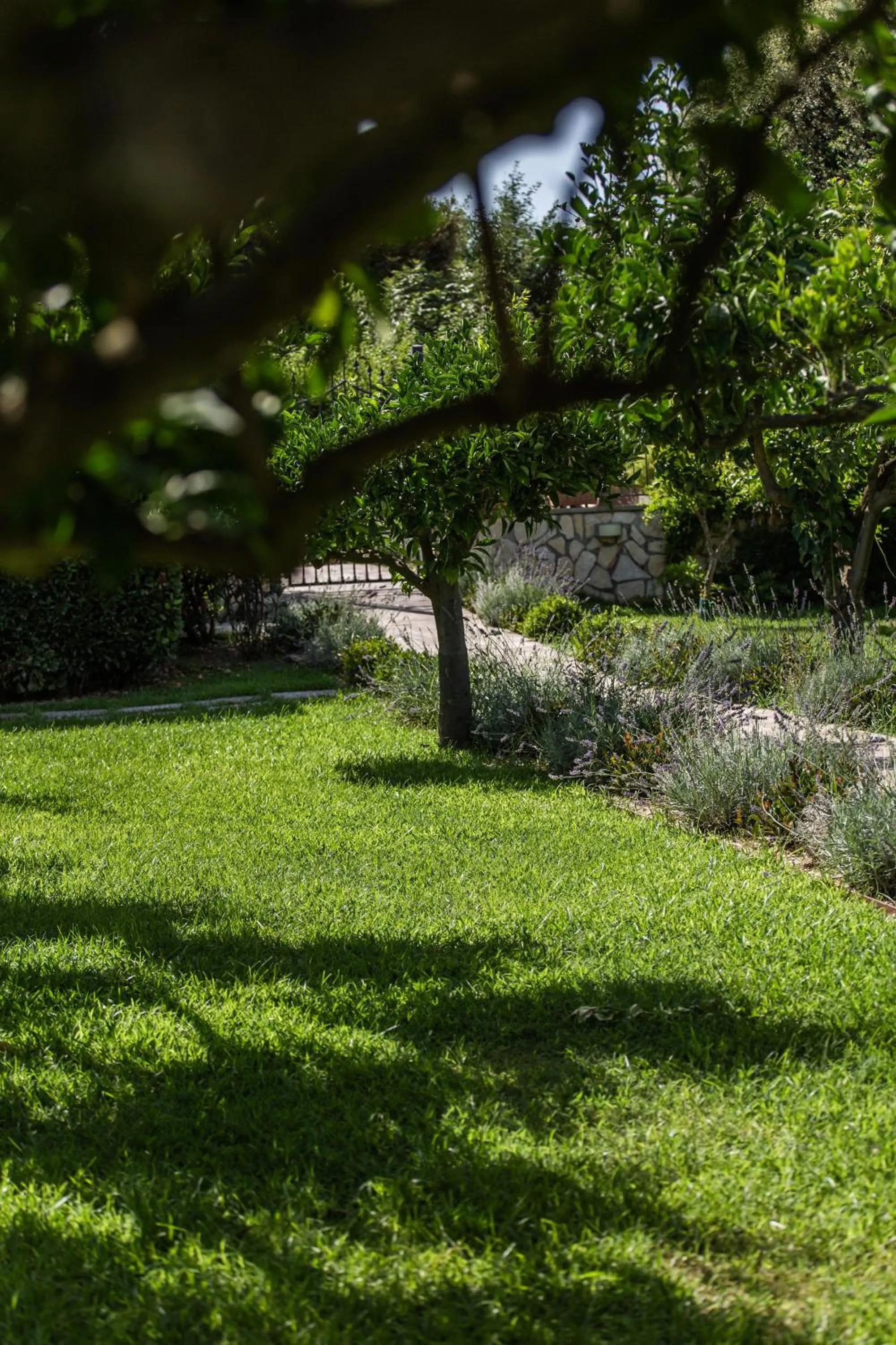 Garden in I Lecci Guesthouse