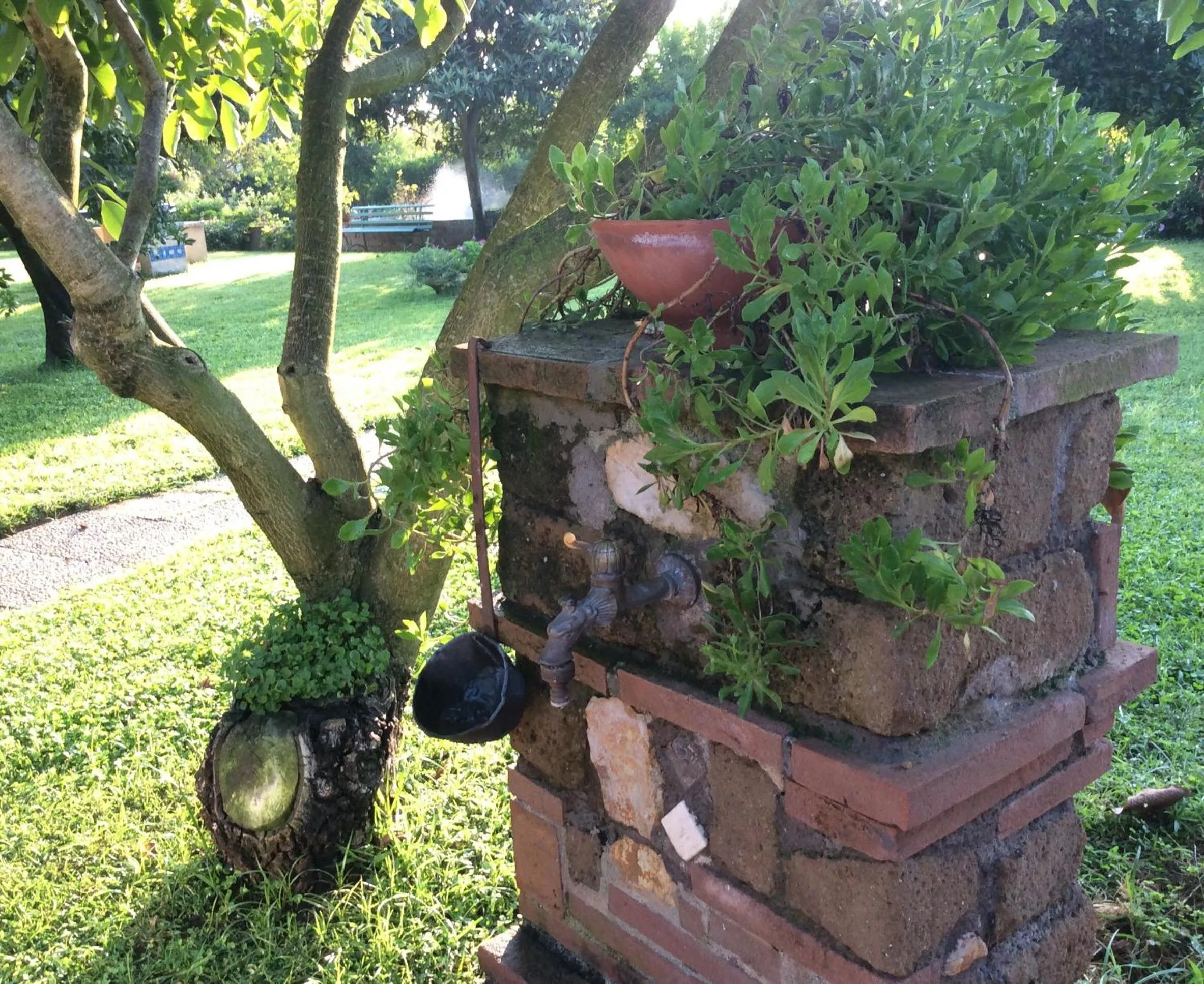 Garden in I Lecci Guesthouse