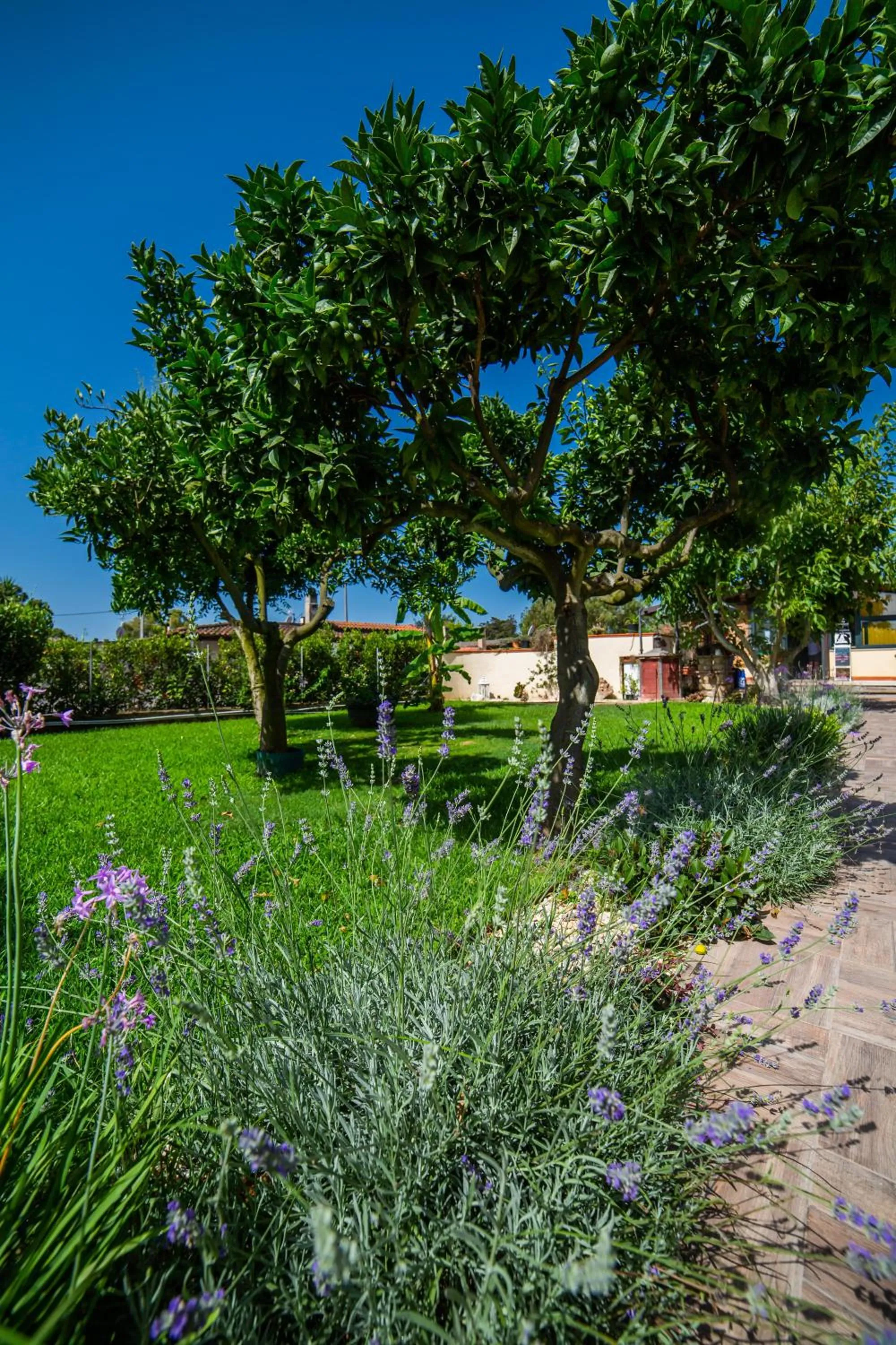 Garden in I Lecci Guesthouse