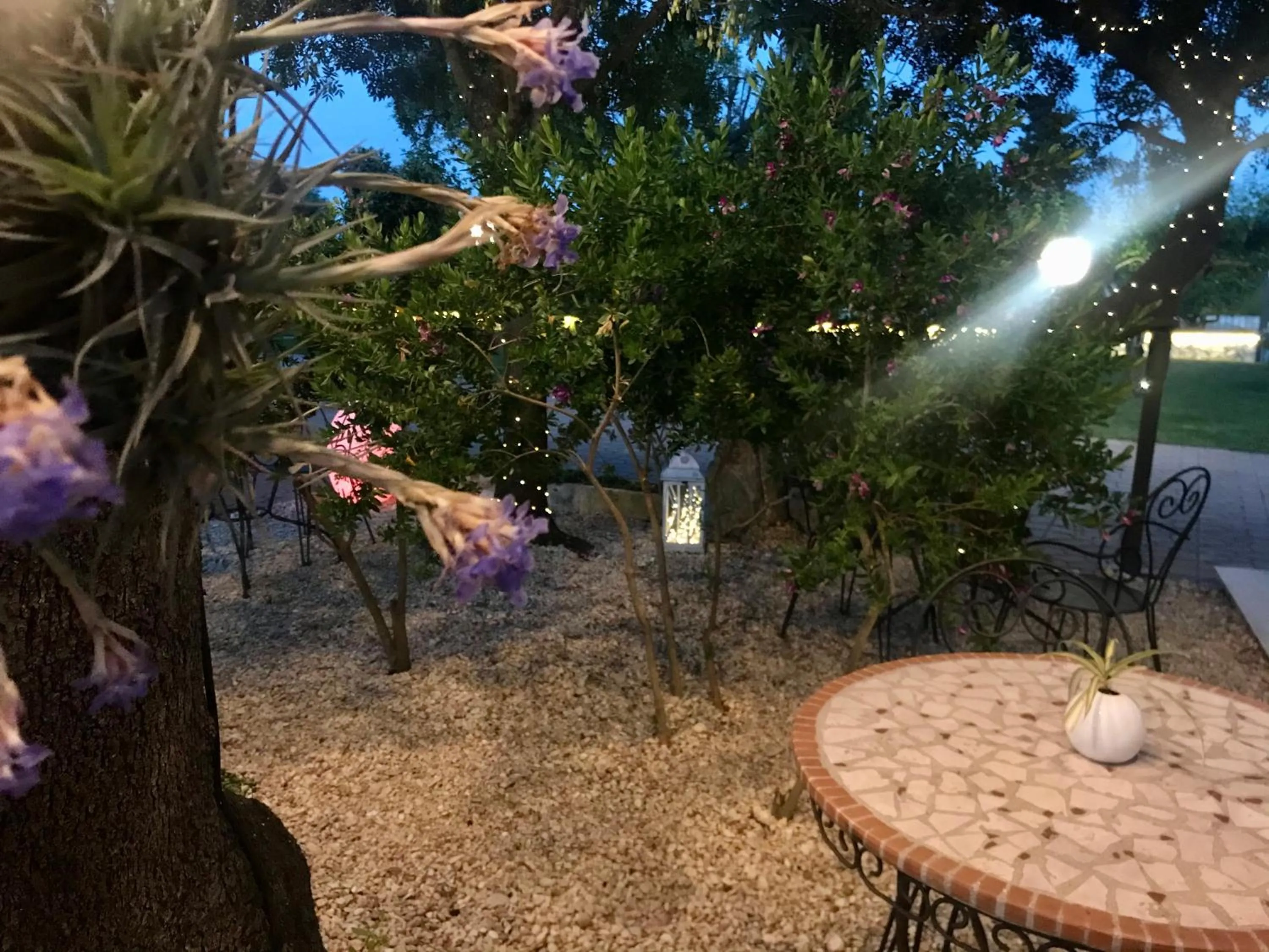 Garden in I Lecci Guesthouse