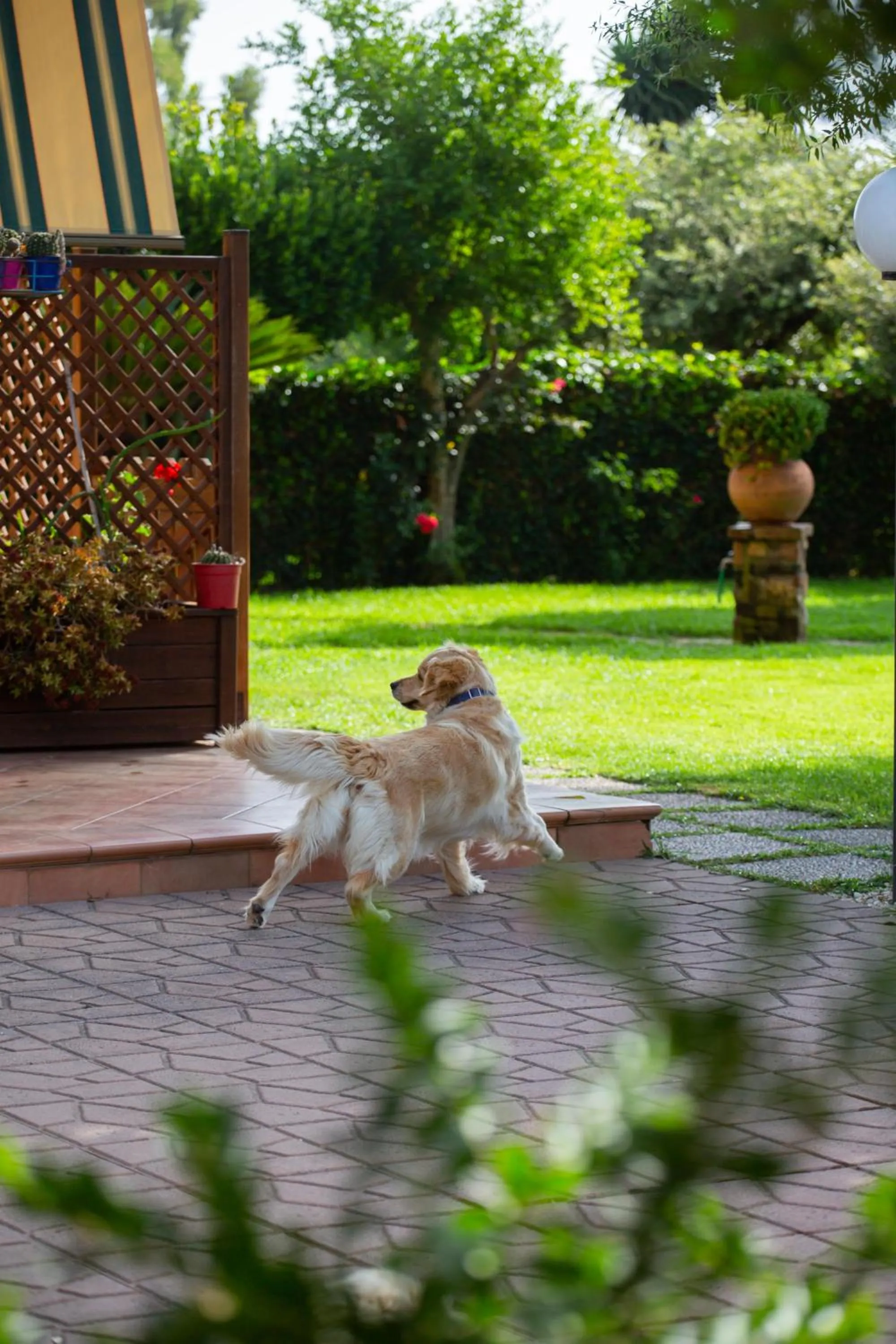 Garden in I Lecci Guesthouse