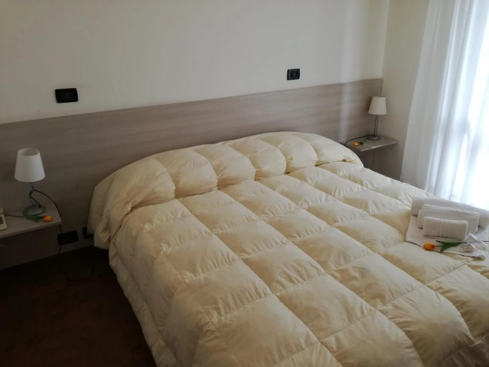 Photo of the whole room in Hotel Giulia