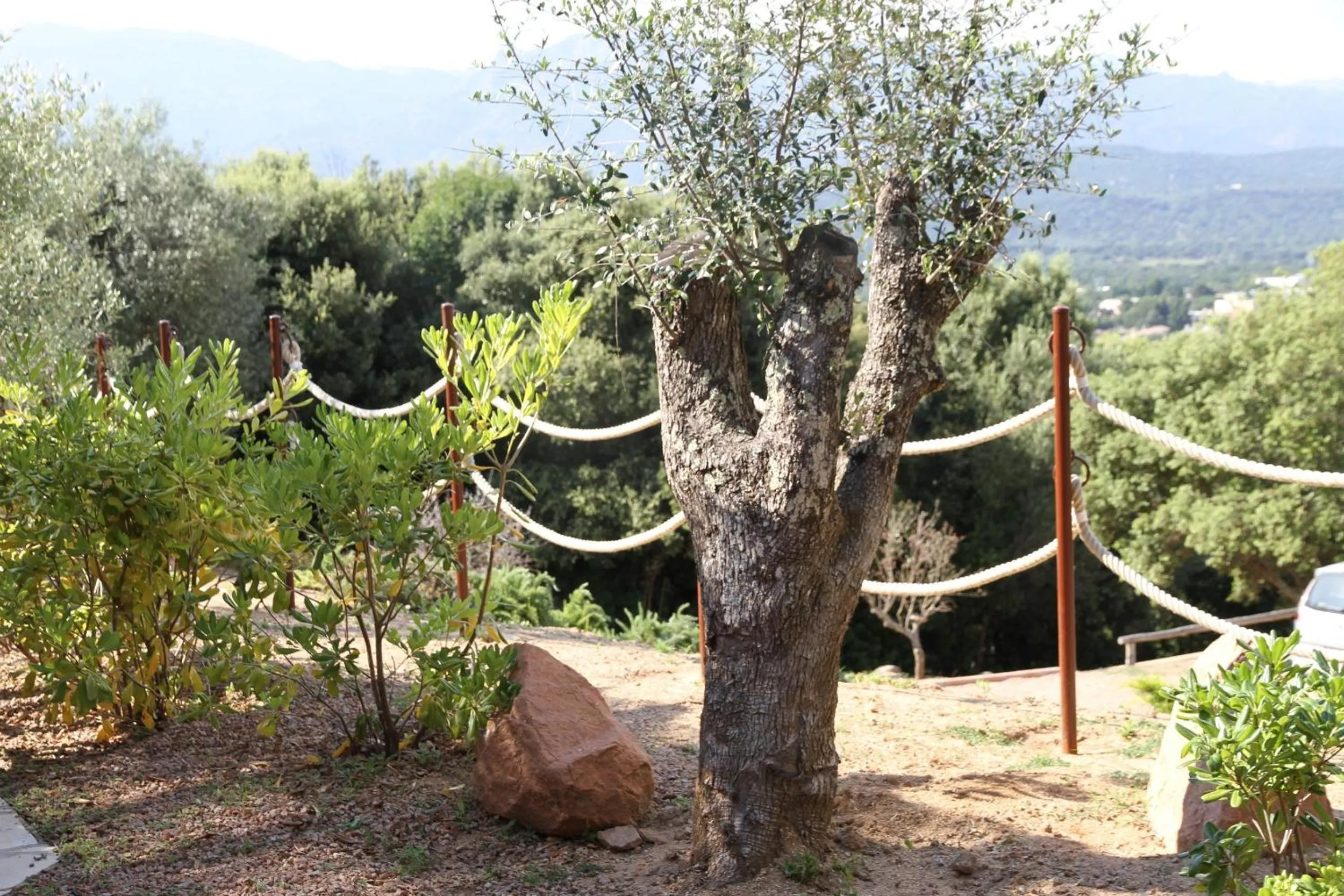 Natural landscape in Résidence A Licetta