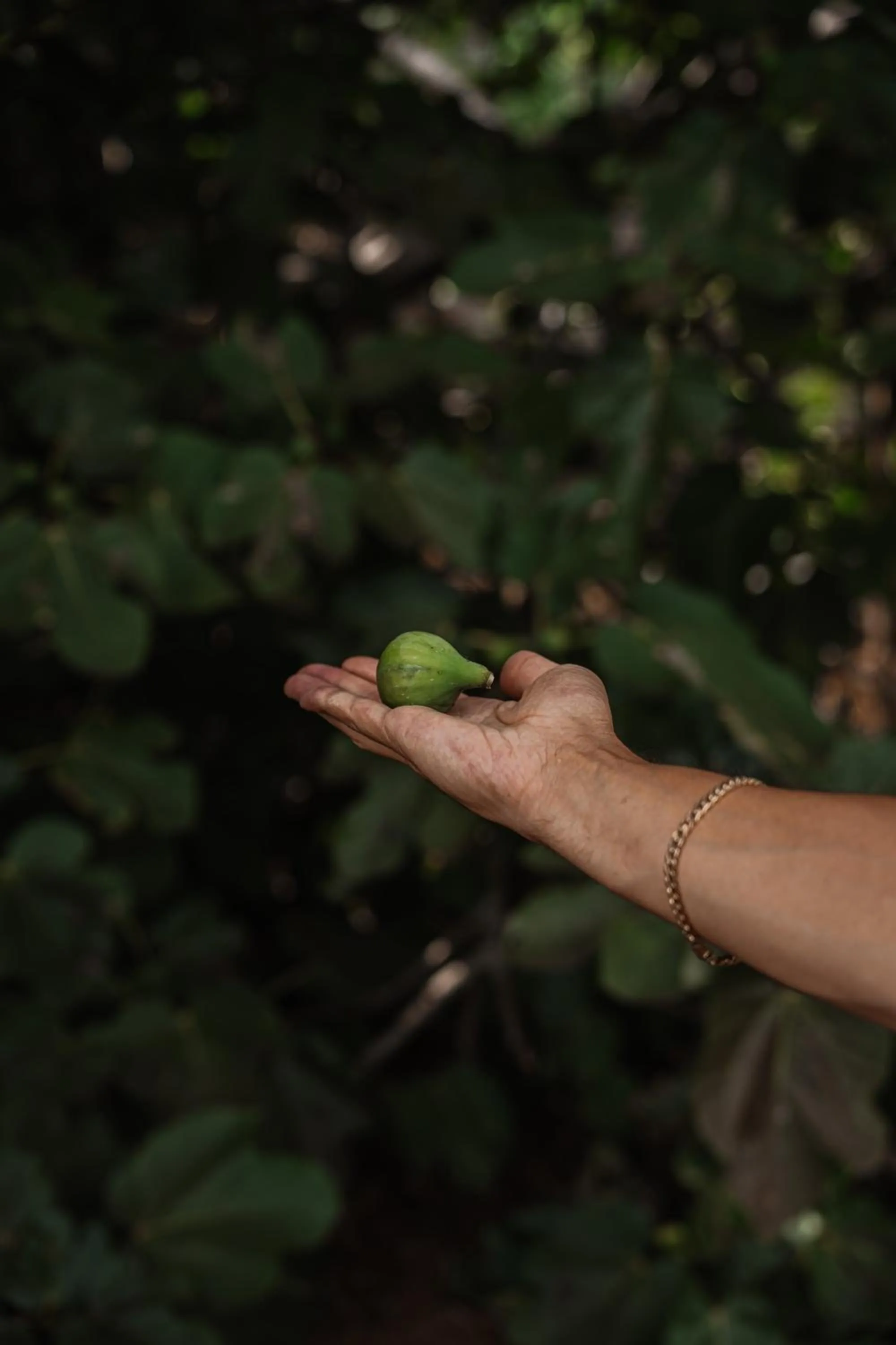 View (from property/room) in Villa Alto Boutique Hotel