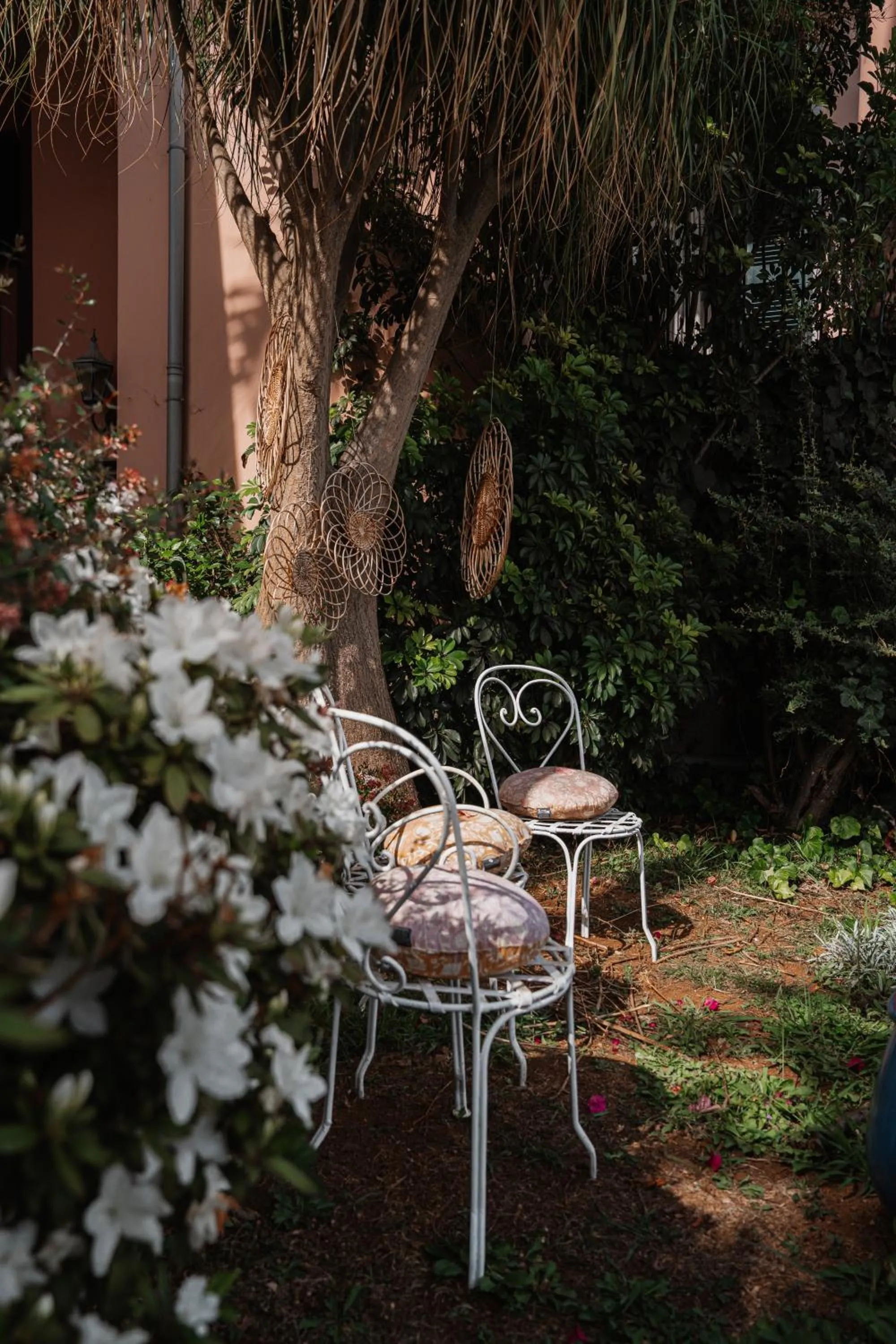 Garden in Villa Alto Boutique Hotel