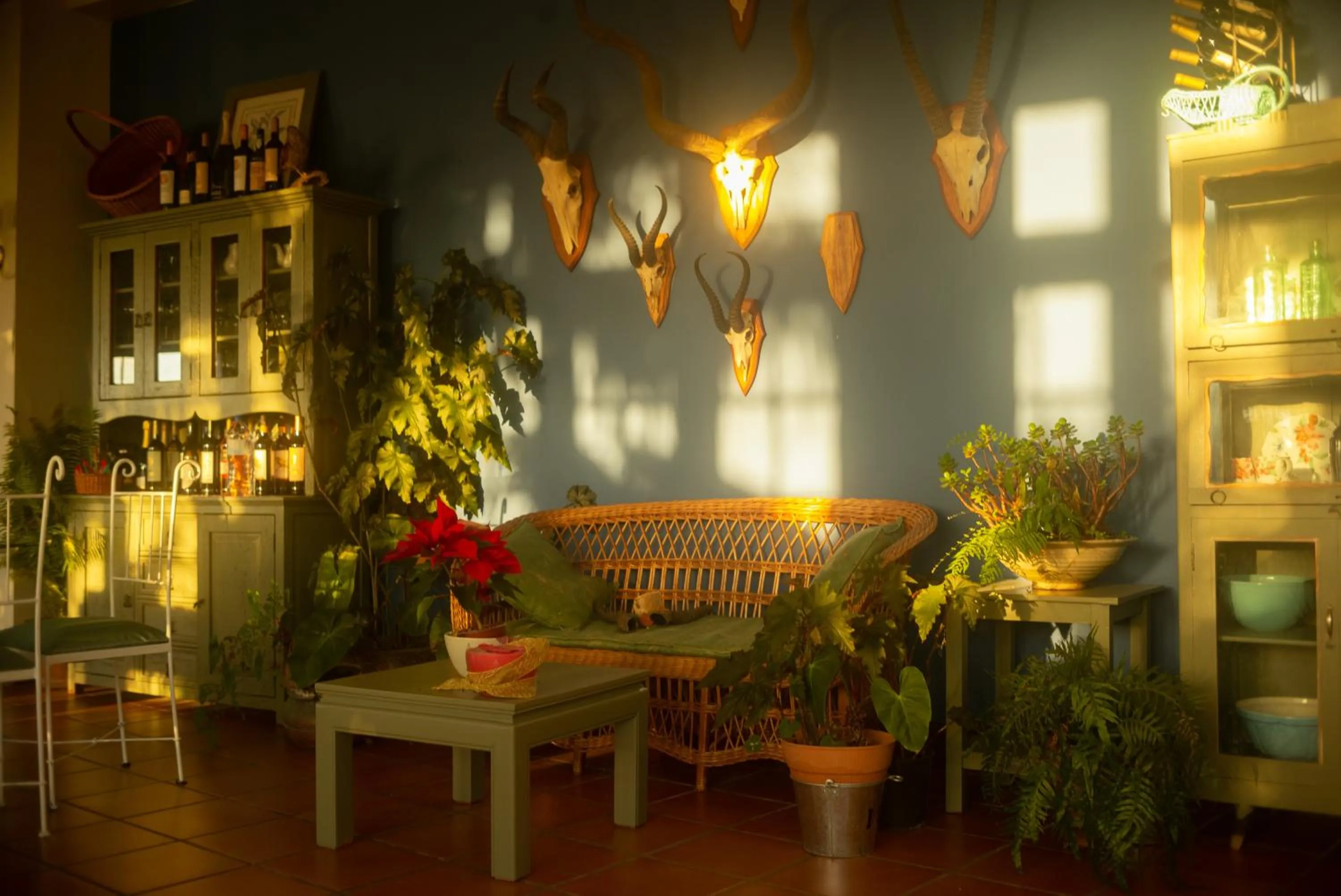 Lounge or bar in Villa Alto Boutique Hotel