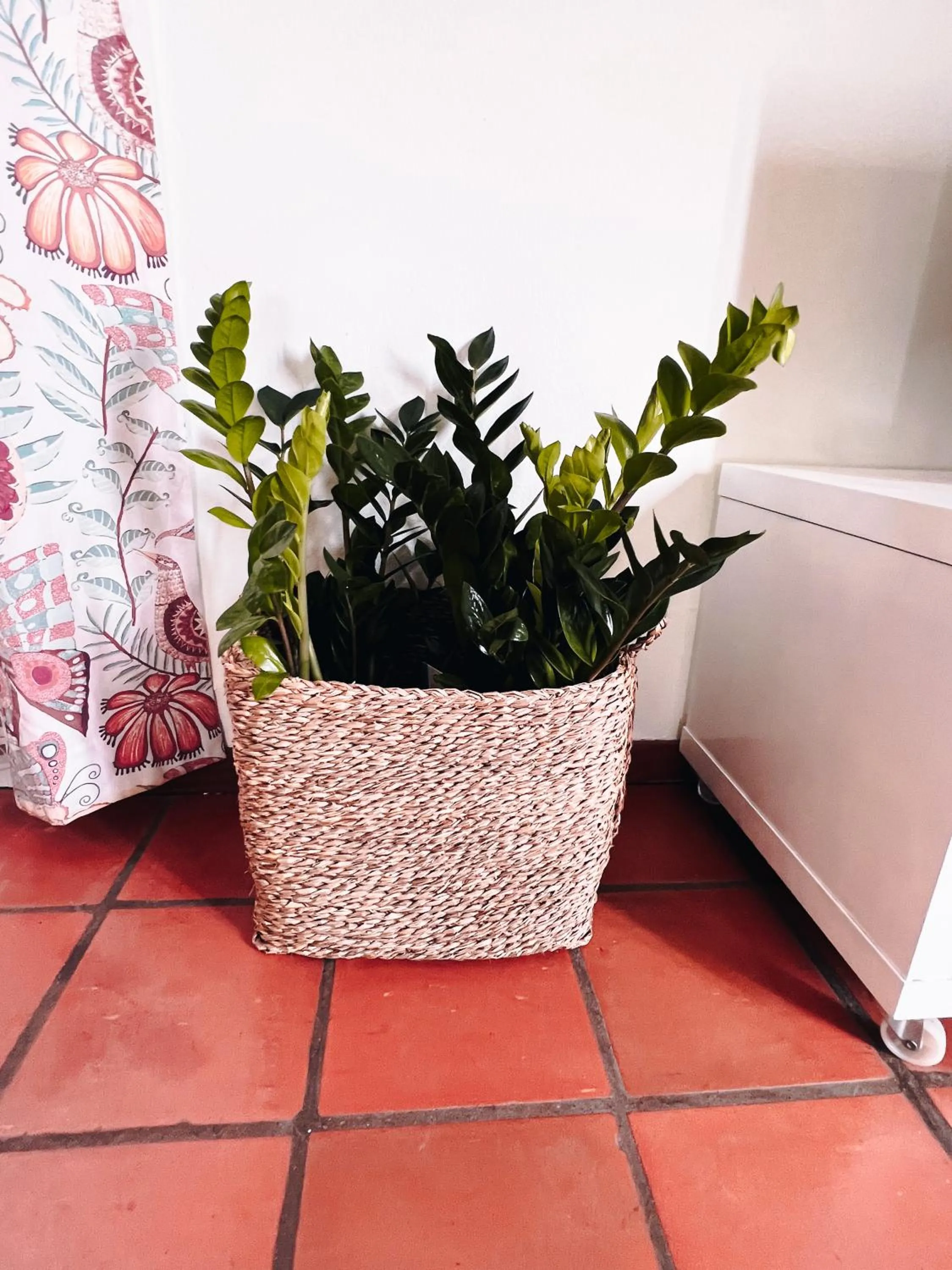 Apartamentos Quinta Mae dos Homens