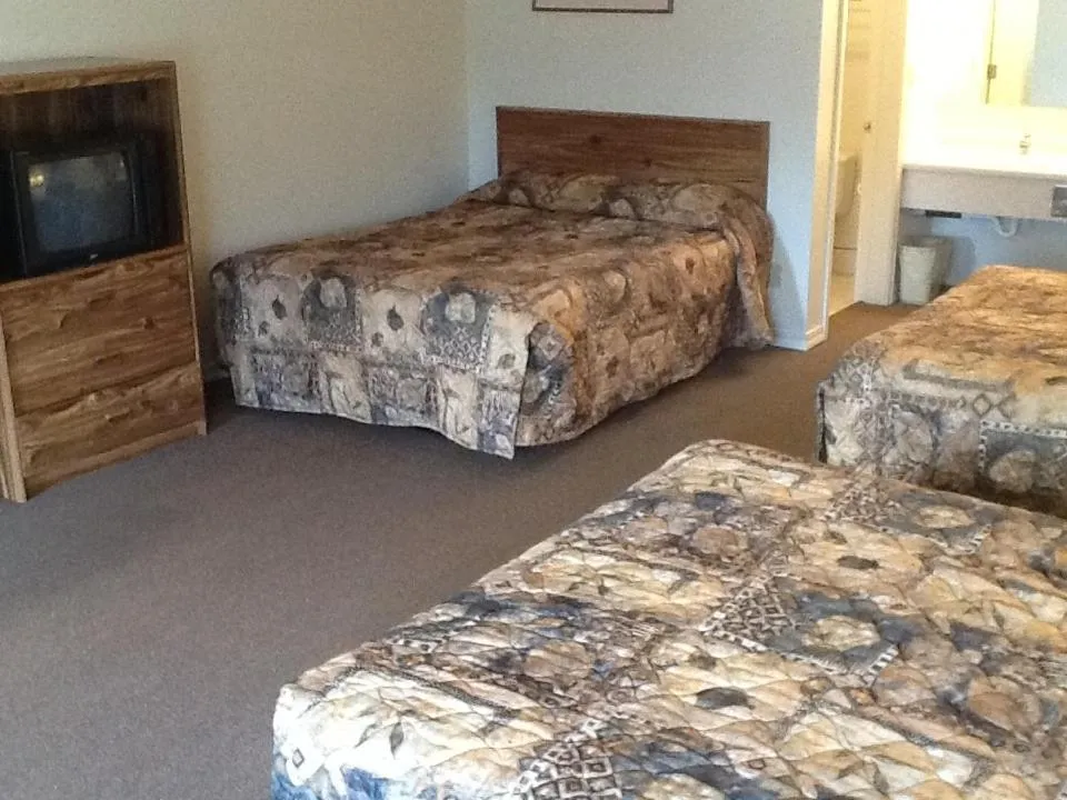Photo of the whole room, Bed in Dude & Roundup