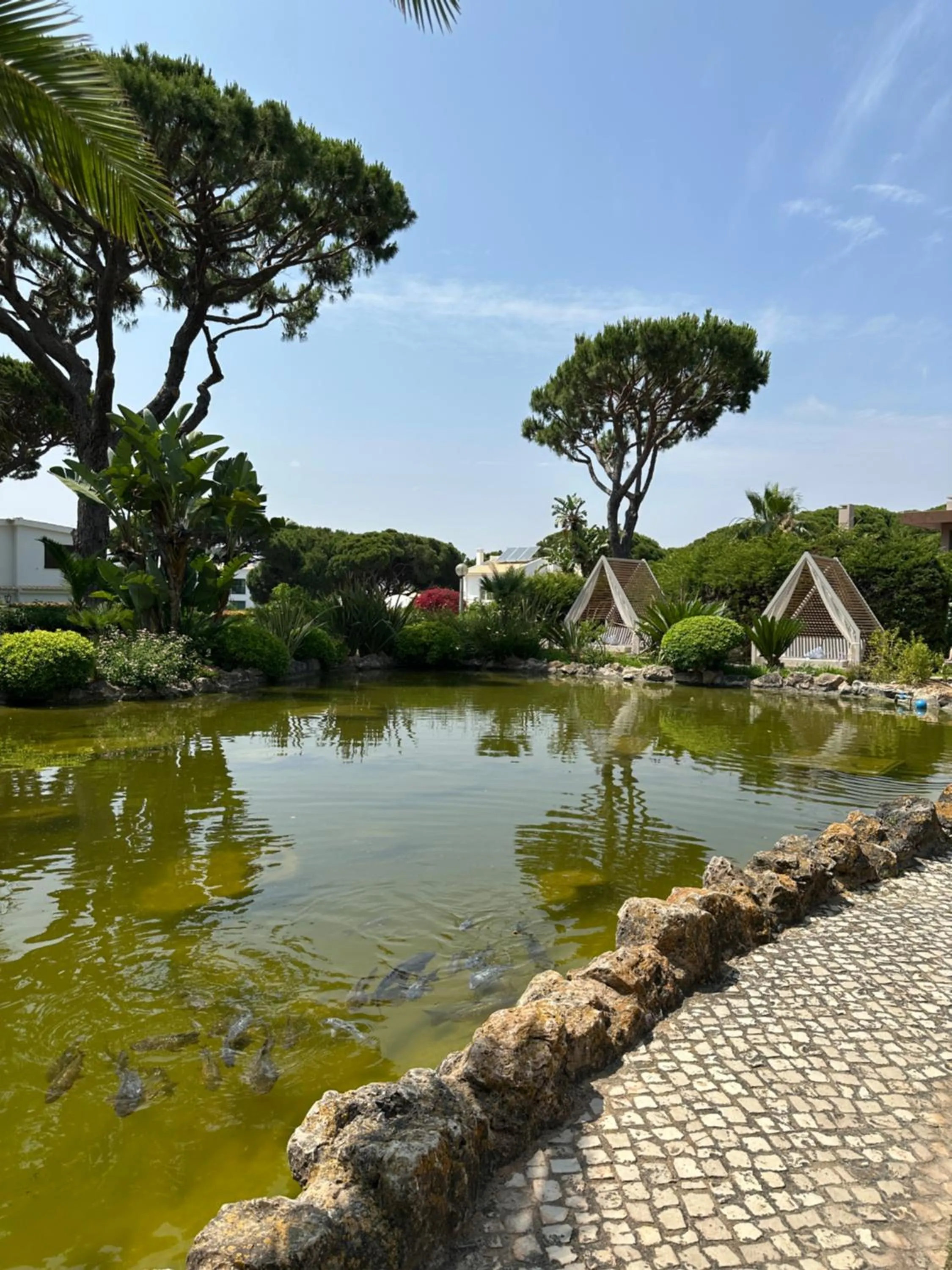 Garden in Falésia Hotel - Adults Only