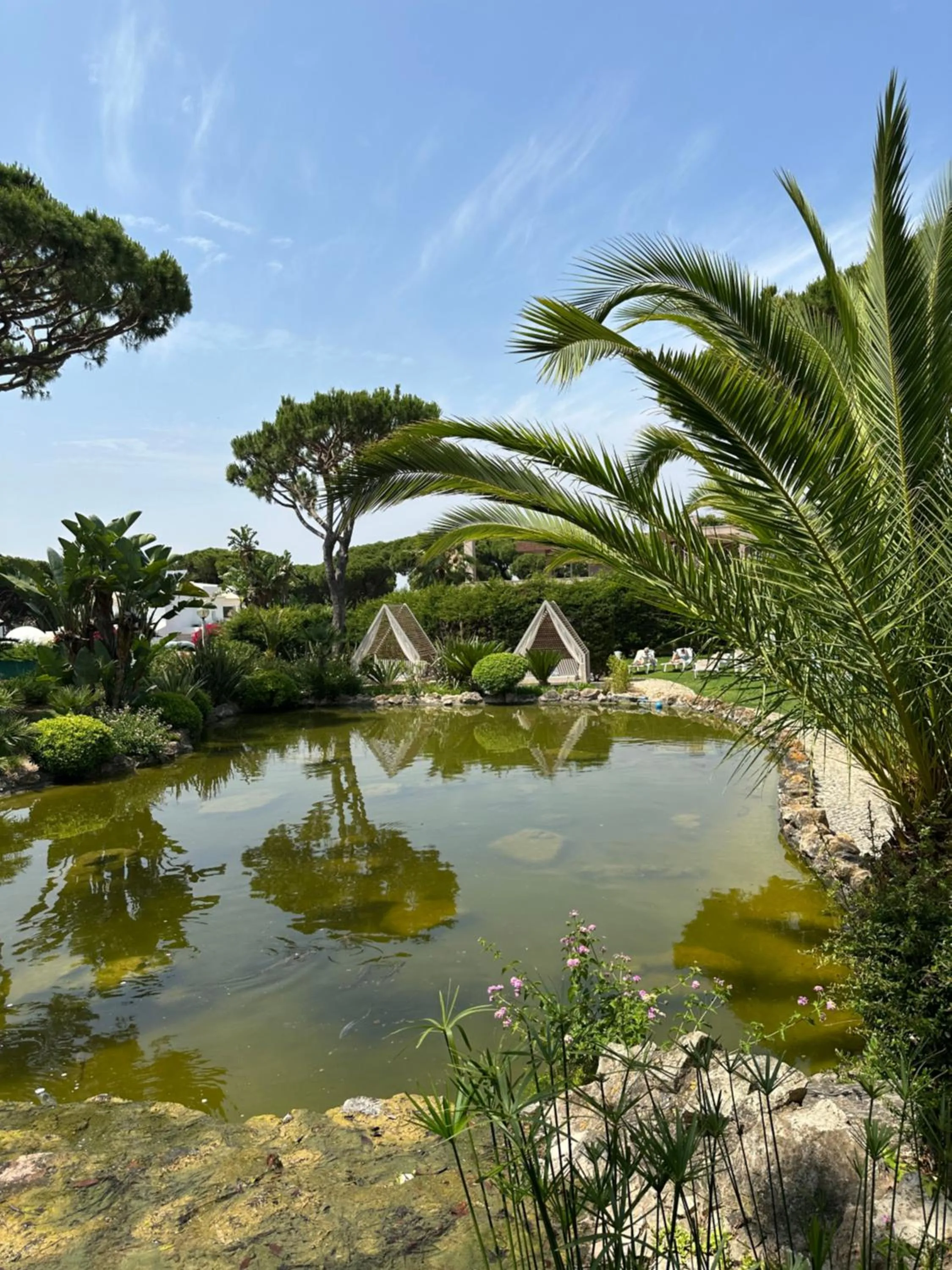 Garden in Falésia Hotel - Adults Only