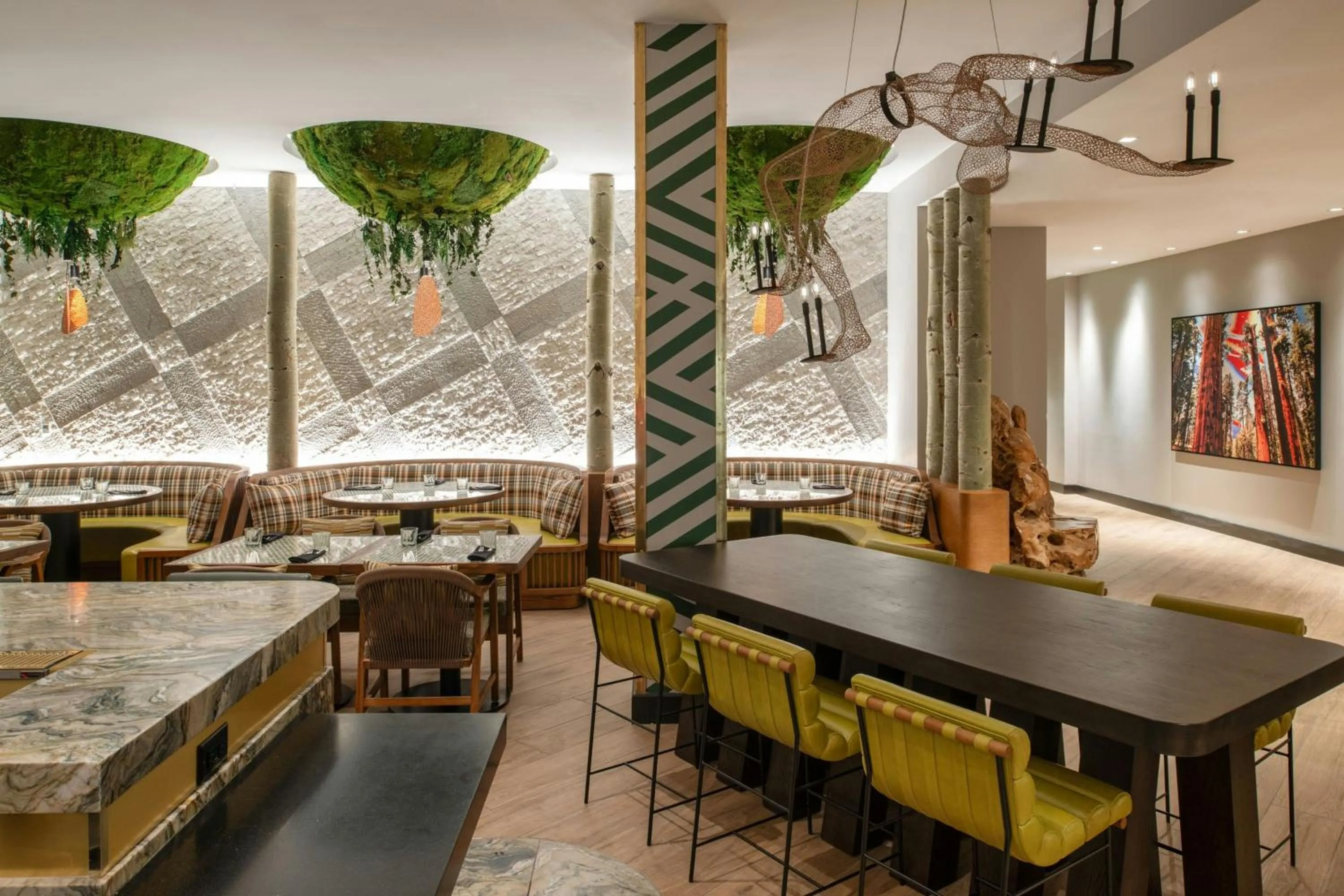 Restaurant/places to eat in Hotel Paradox, Autograph Collection