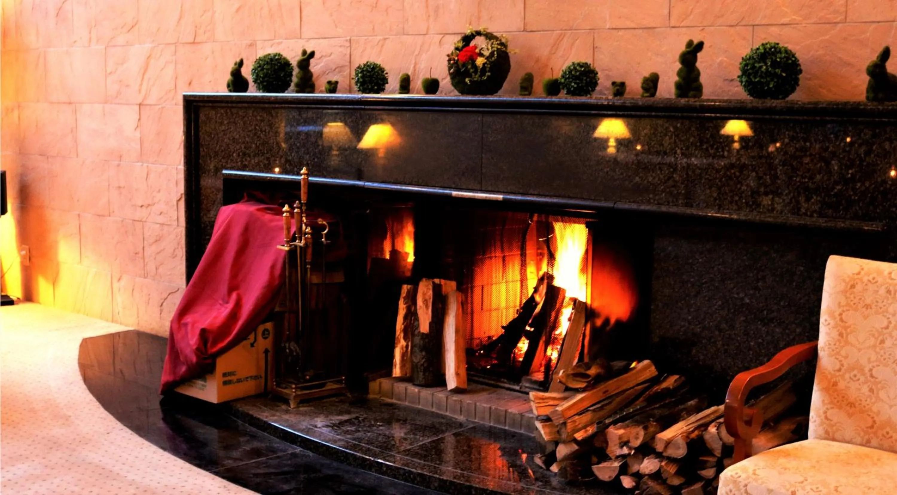 Communal lounge/ TV room in Hotel Cypress Karuizawa