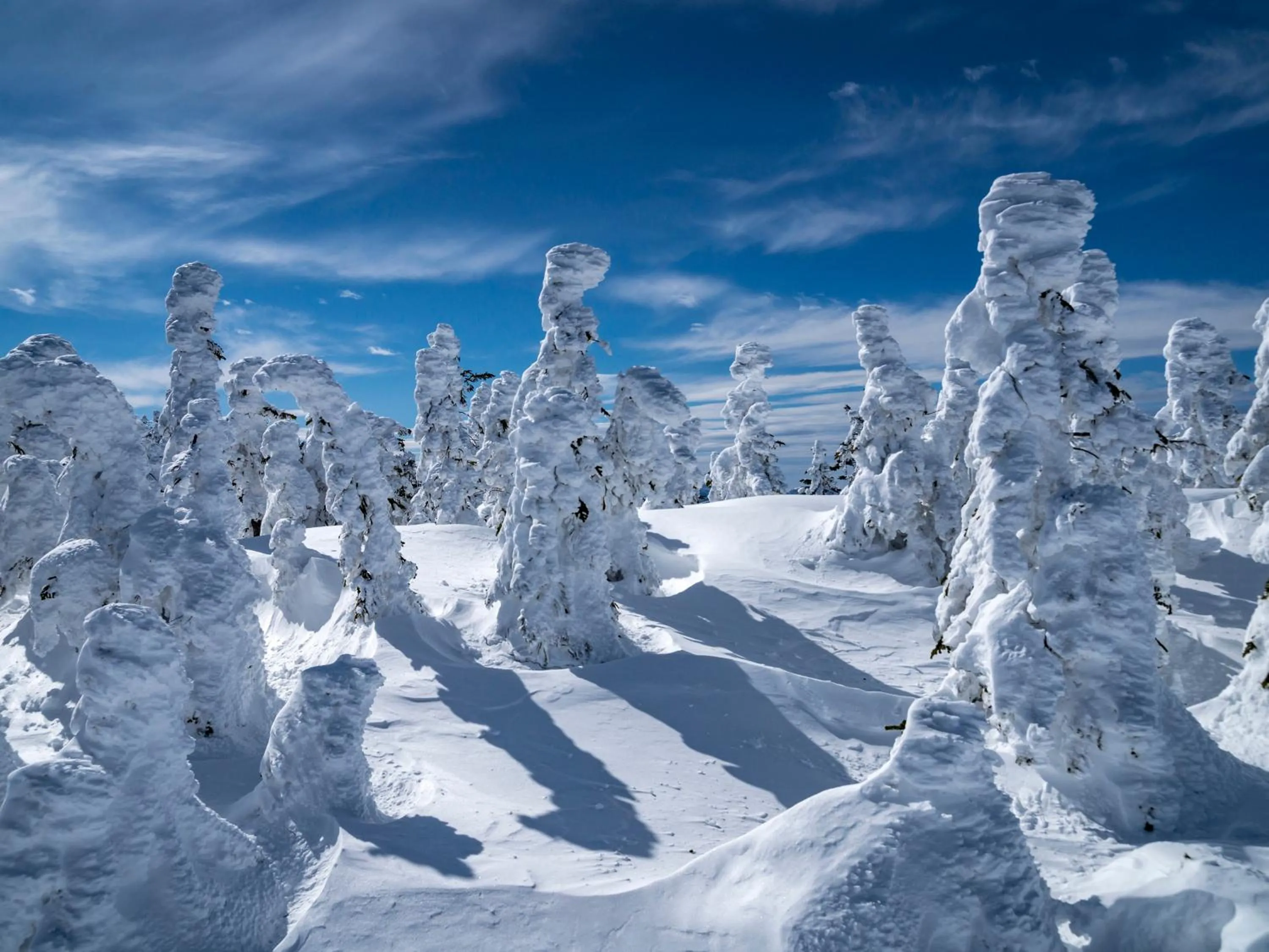 Skiing in Minshuku Miyama