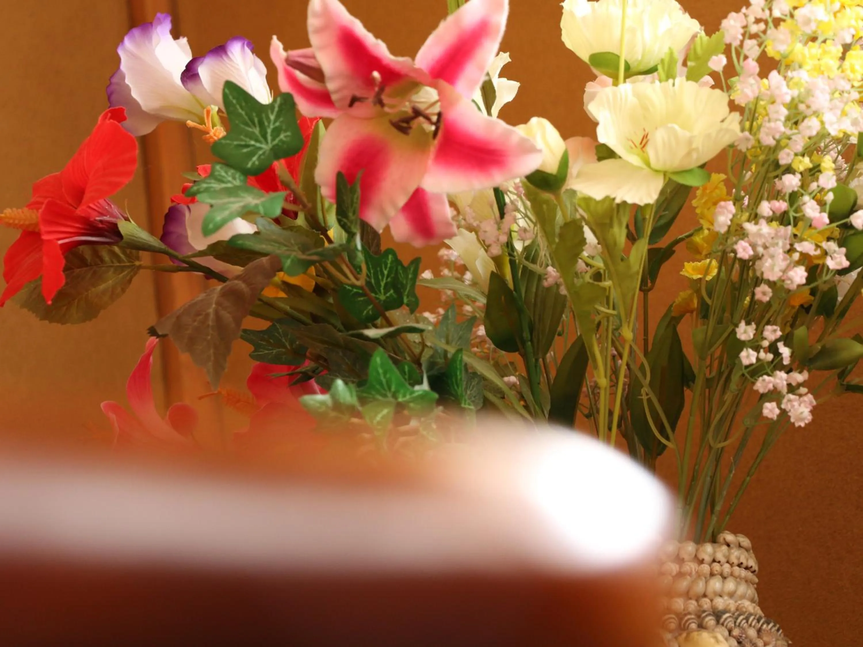 Area and facilities in Minshuku Miyama