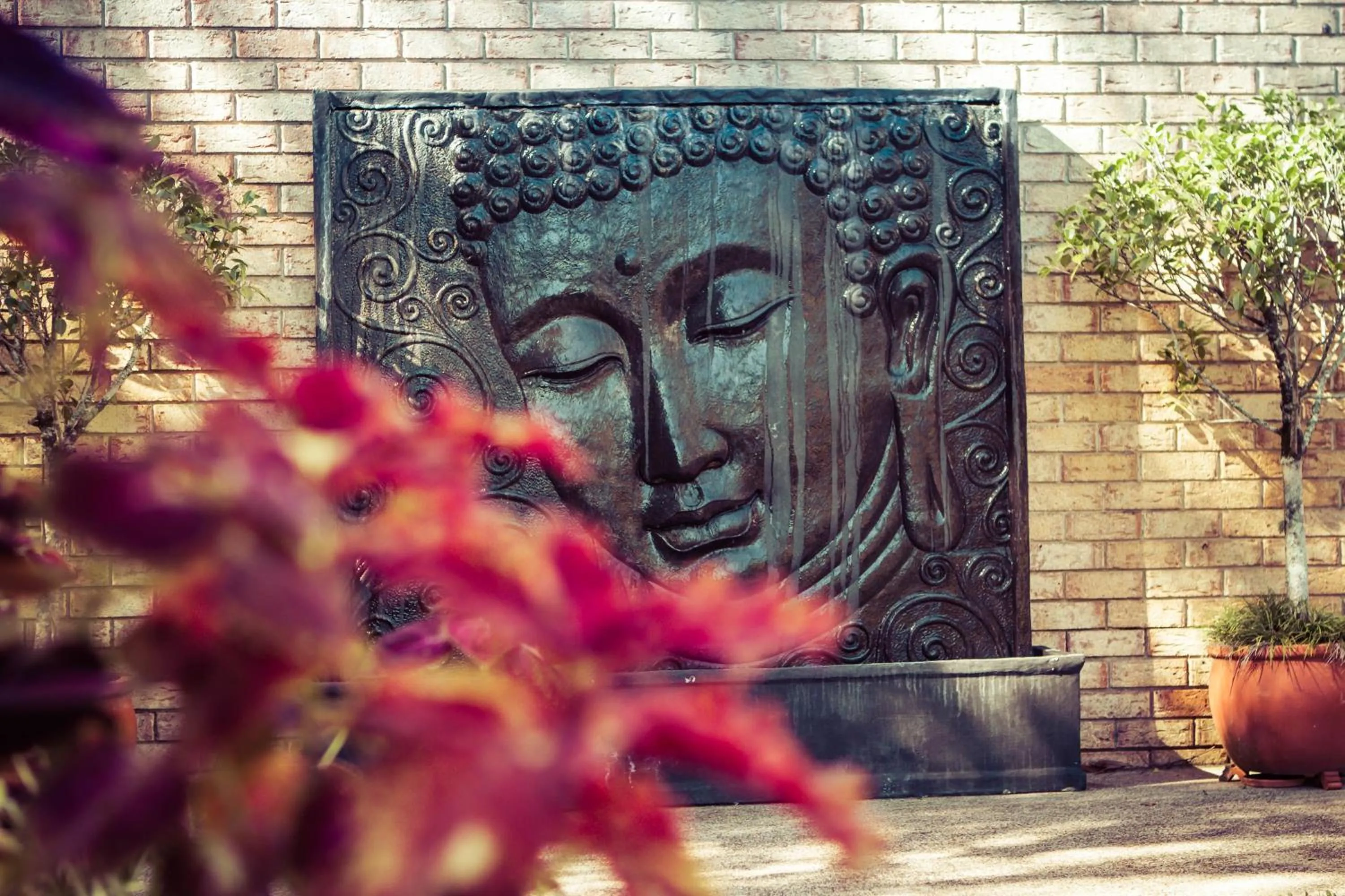 Garden in Sunshine Coast Motor Lodge