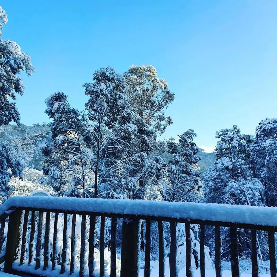 Natural landscape in Lemonthyme Wilderness Retreat