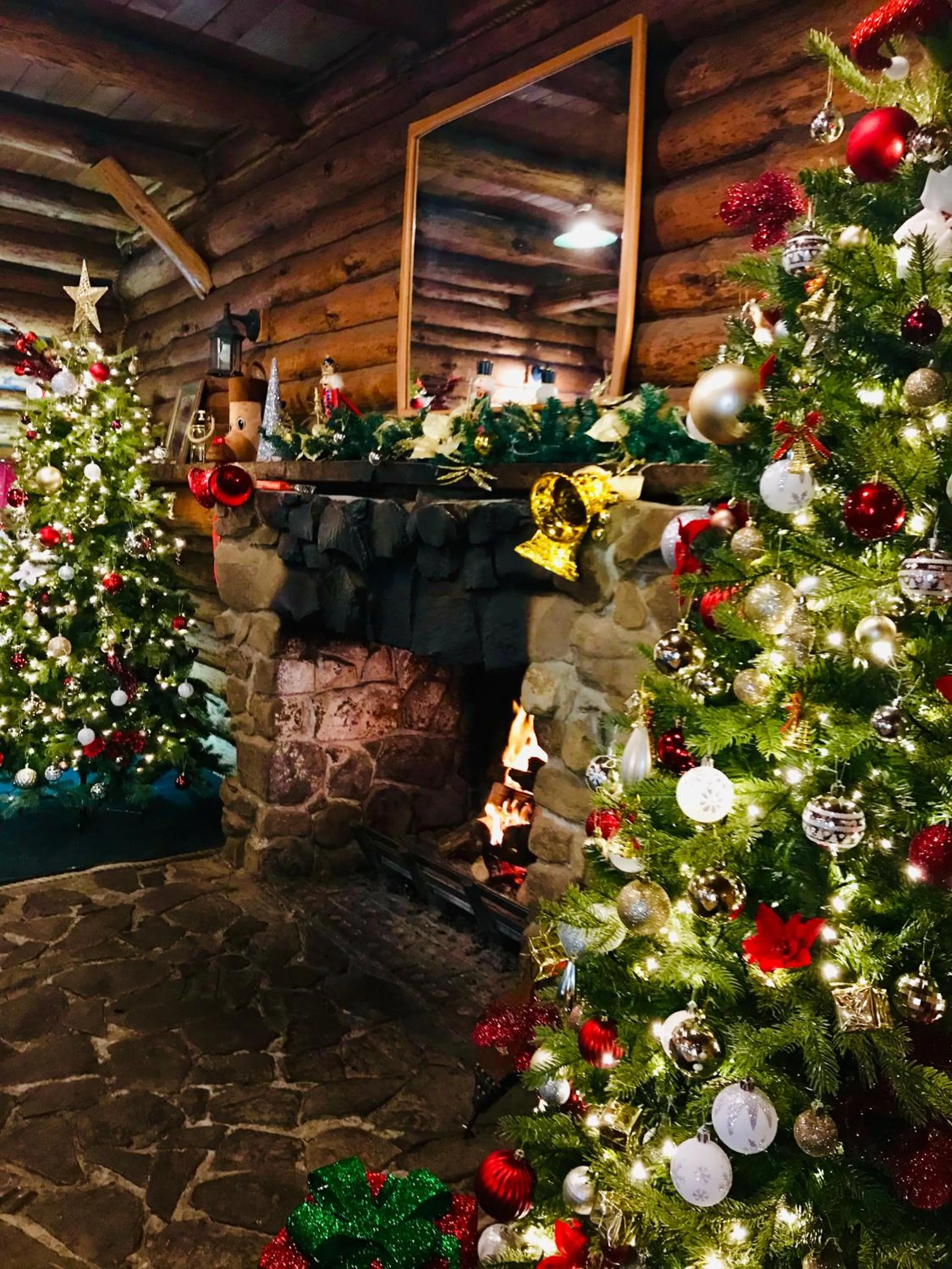 Lounge or bar in Lemonthyme Wilderness Retreat