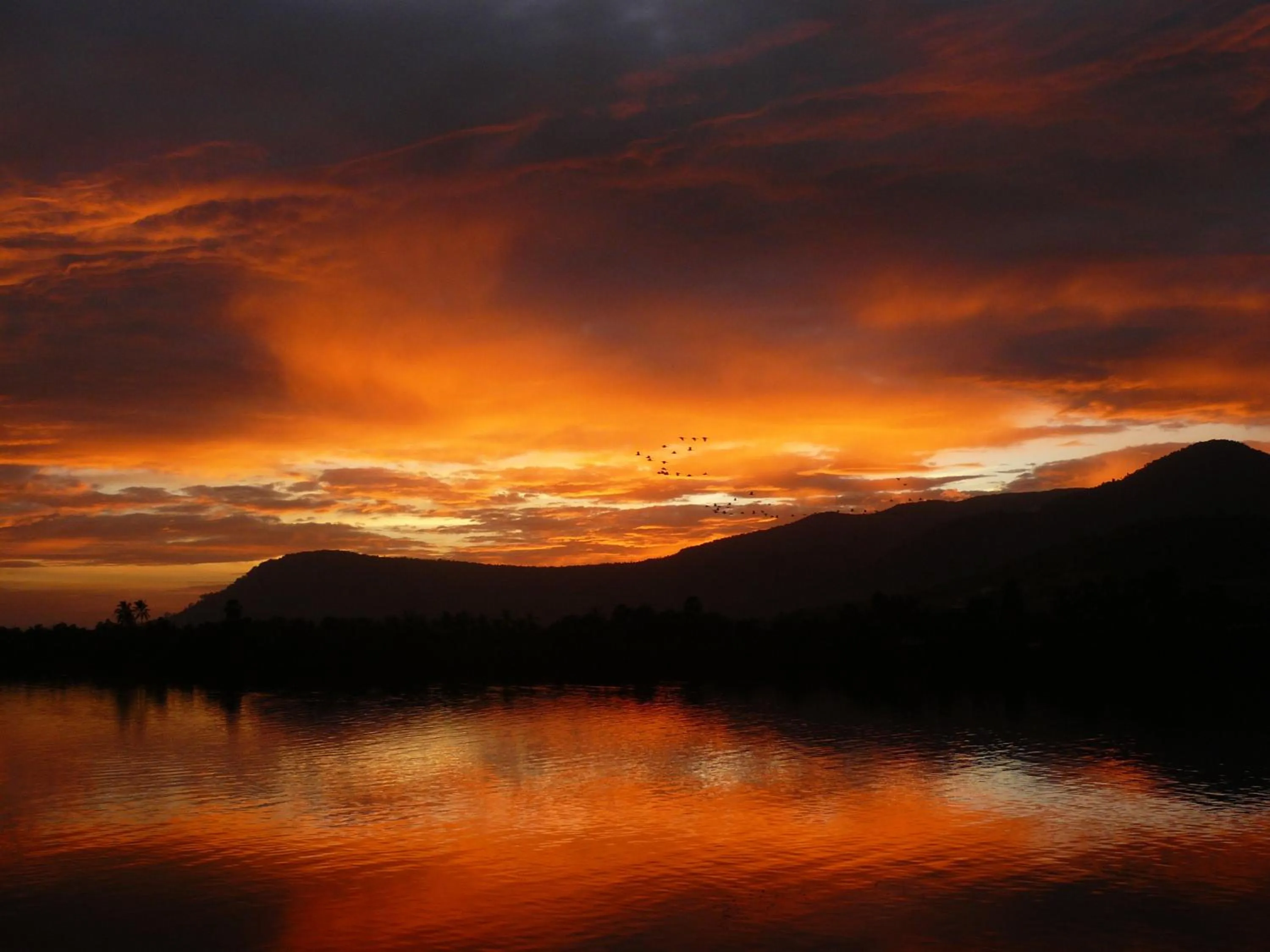 View (from property/room) in Villa Vedici