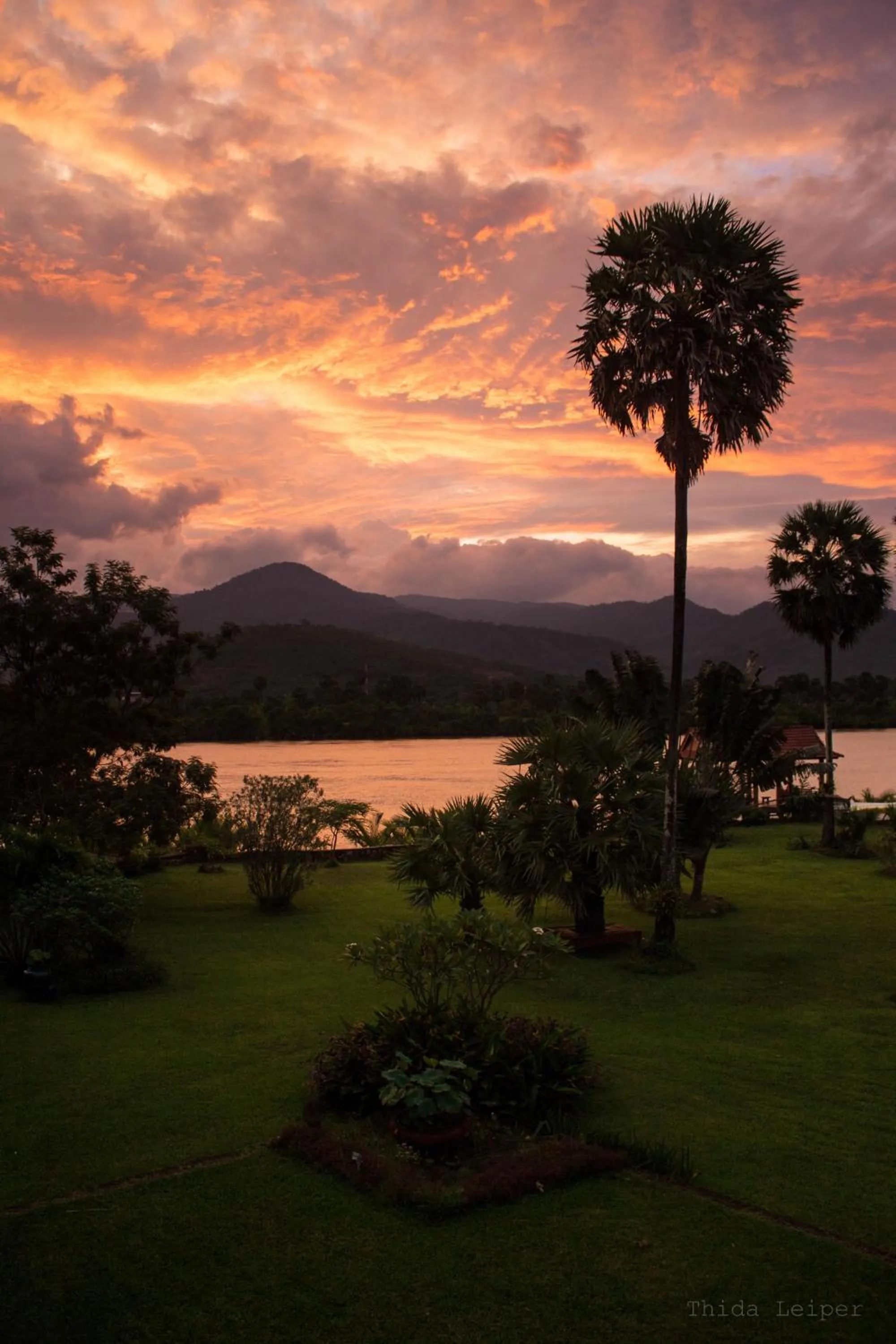 Bird's eye view in Villa Vedici