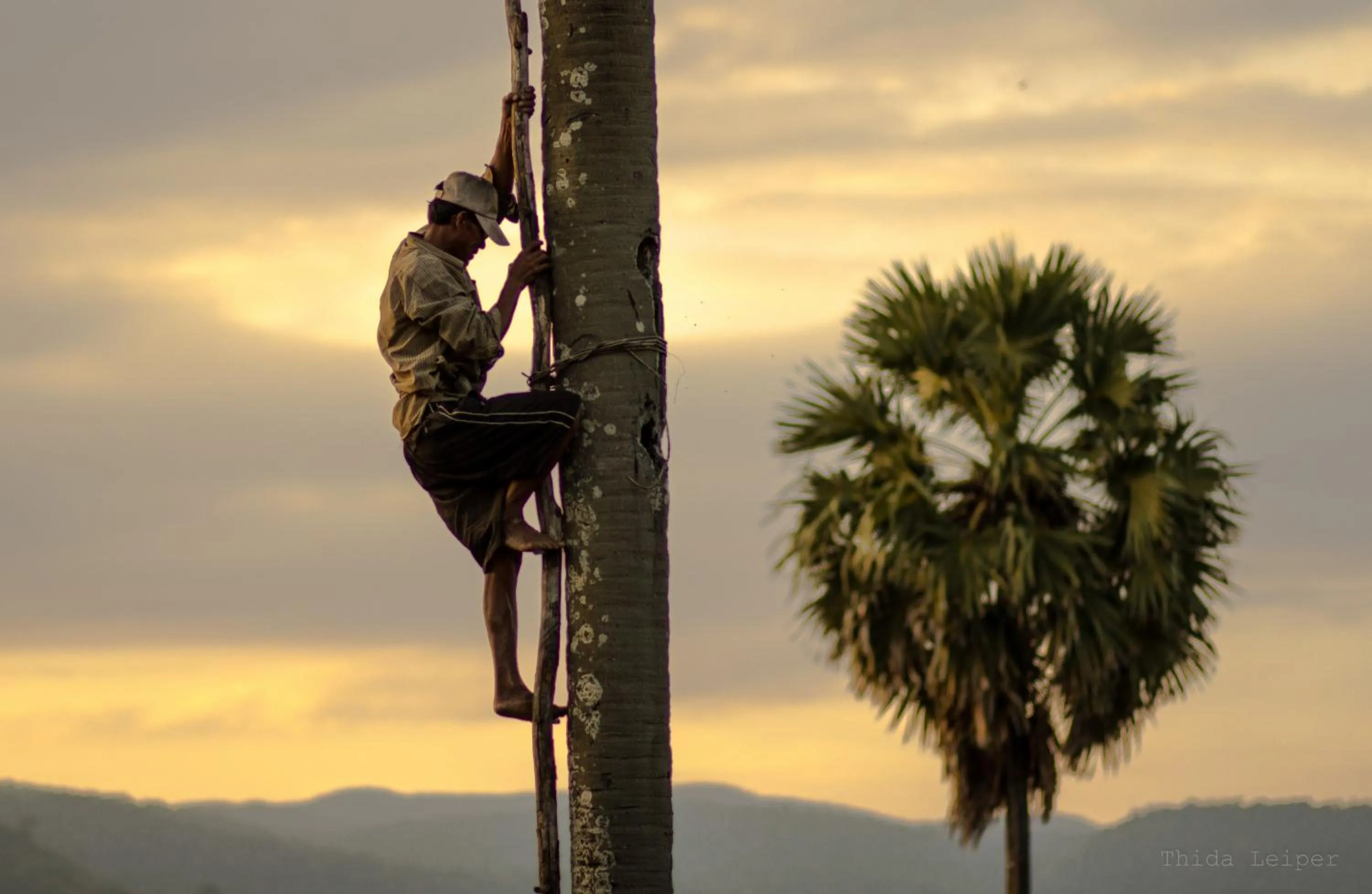 View (from property/room) in Villa Vedici