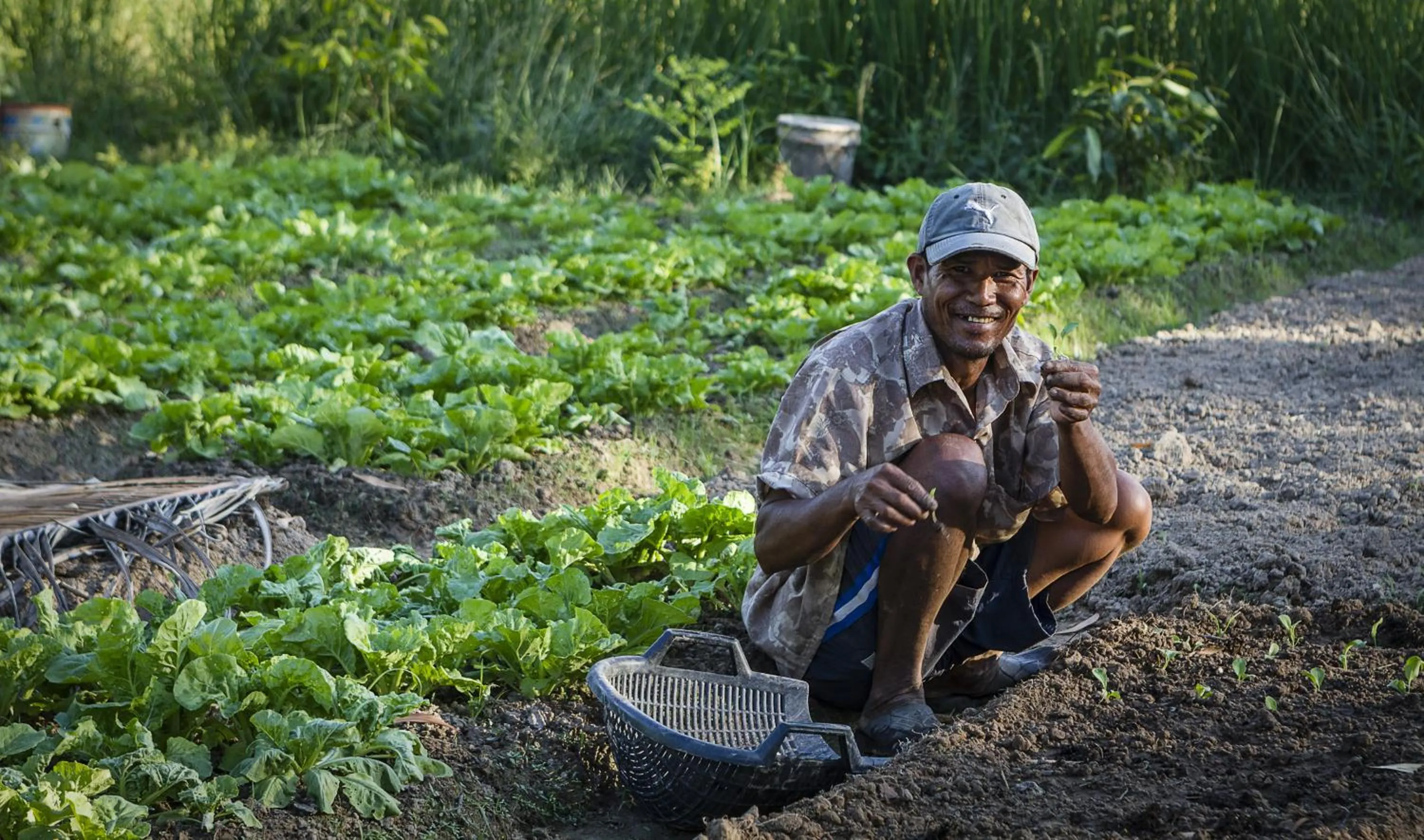 Bird's eye view in Villa Vedici