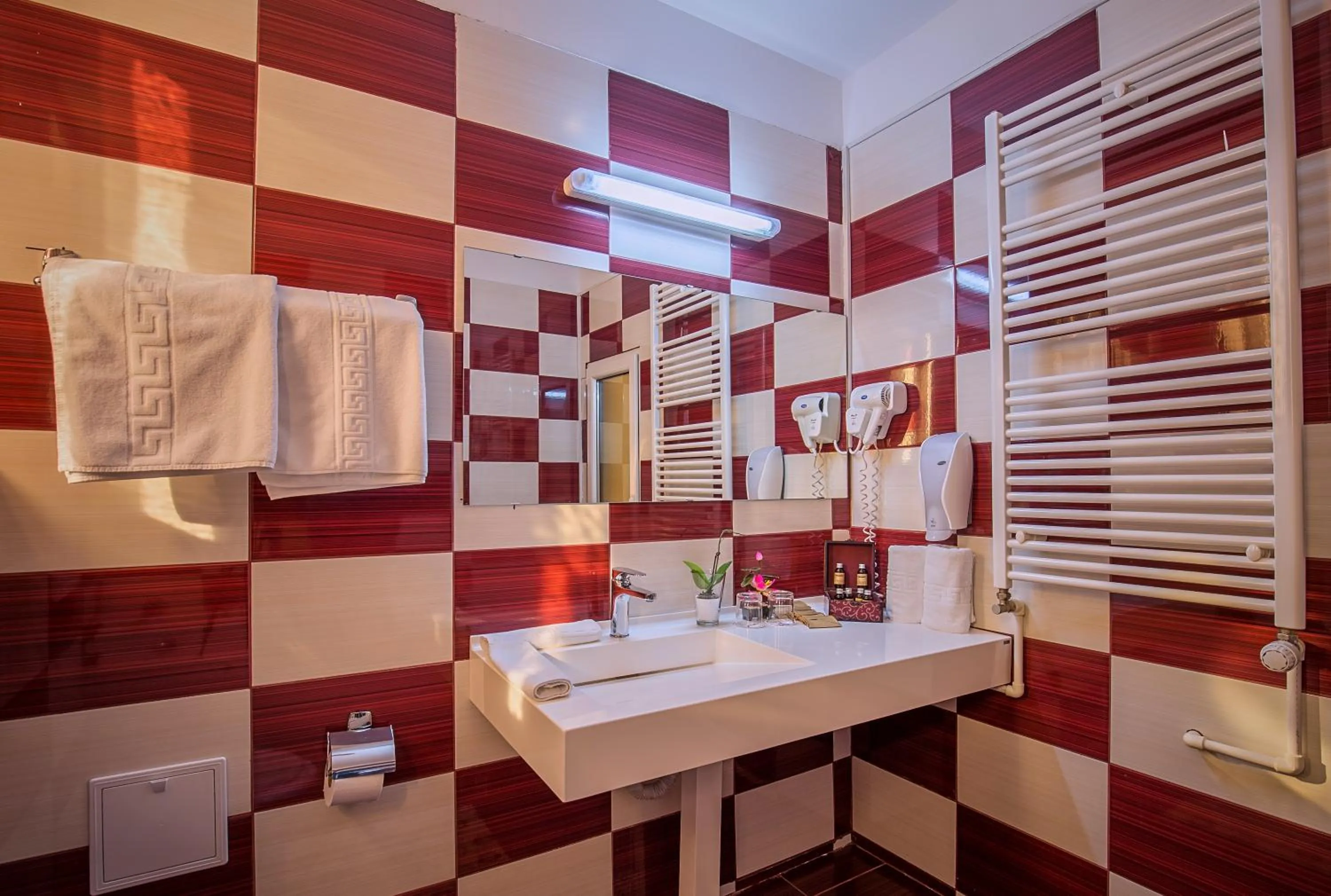 Bathroom in Hotel Rina Cerbul