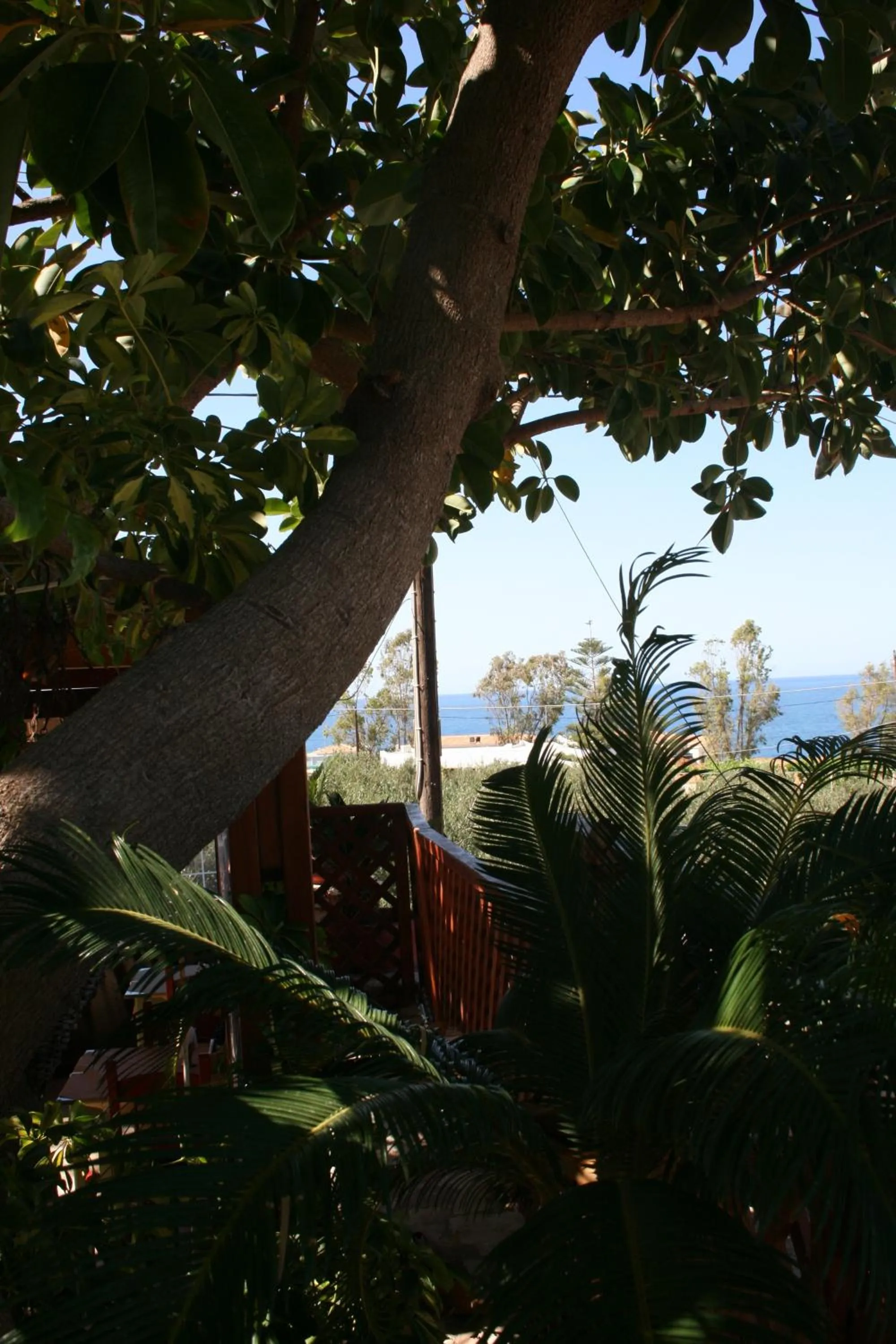 Garden in Kastro Apartments