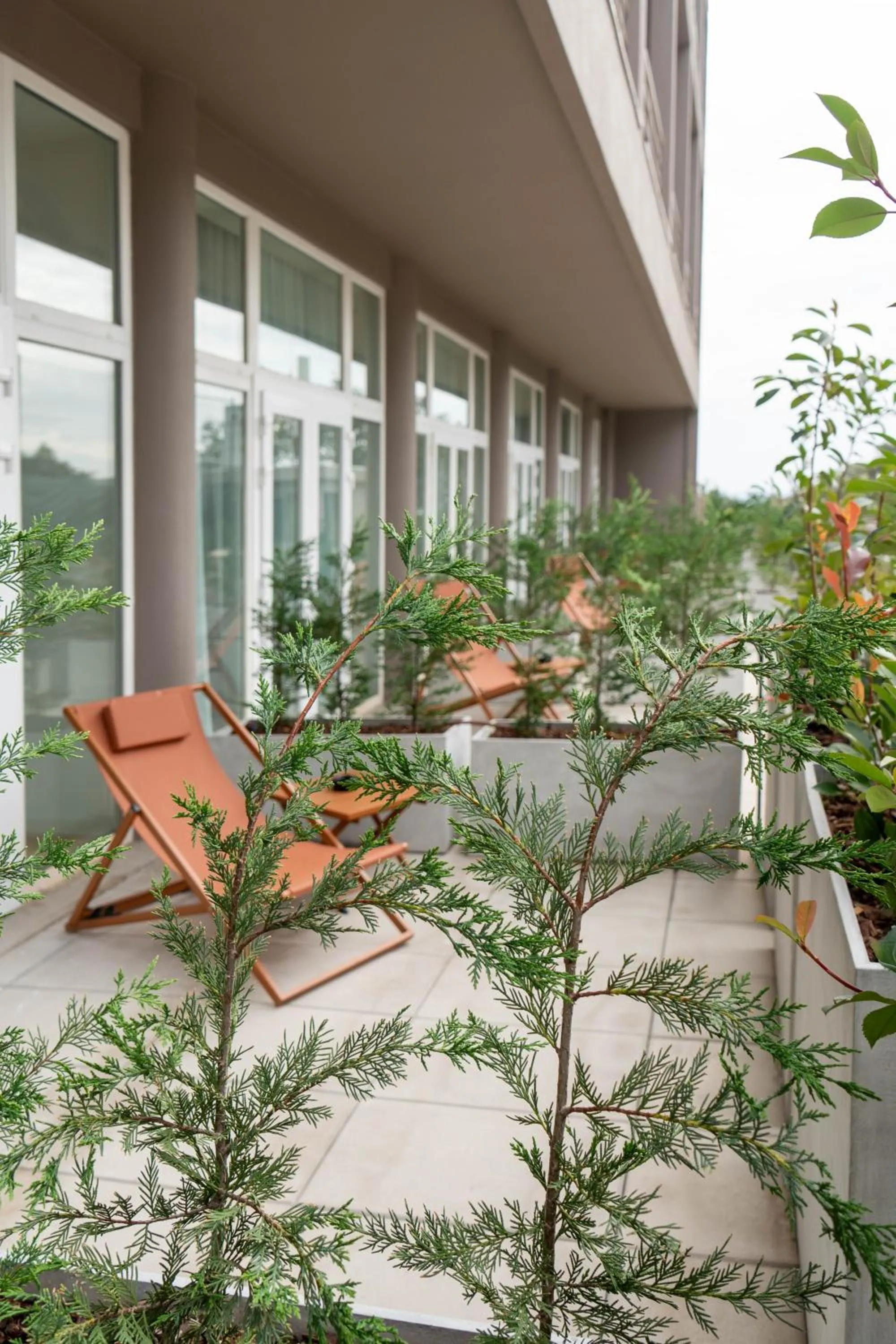 Area and facilities in The Lince Braga