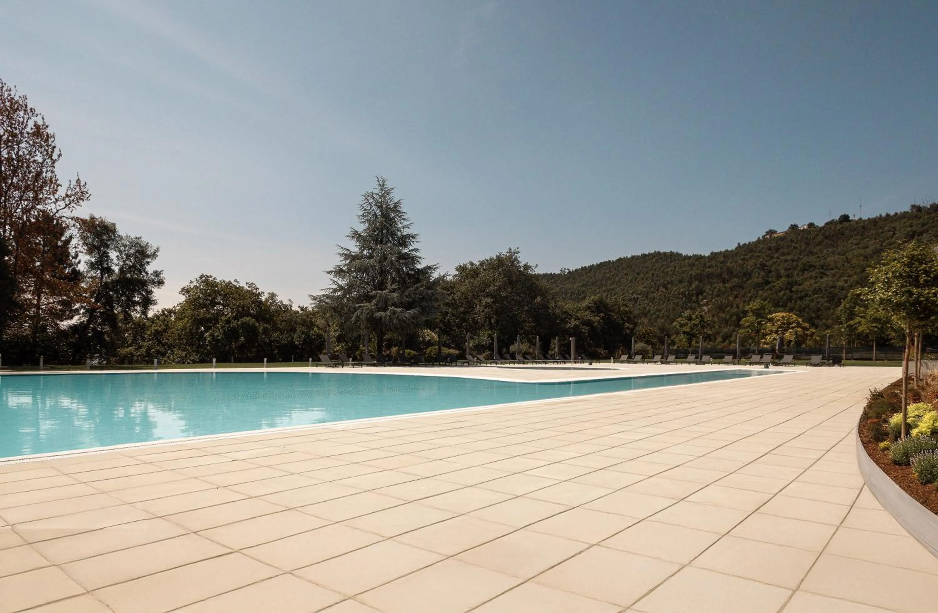 Swimming pool in The Lince Braga
