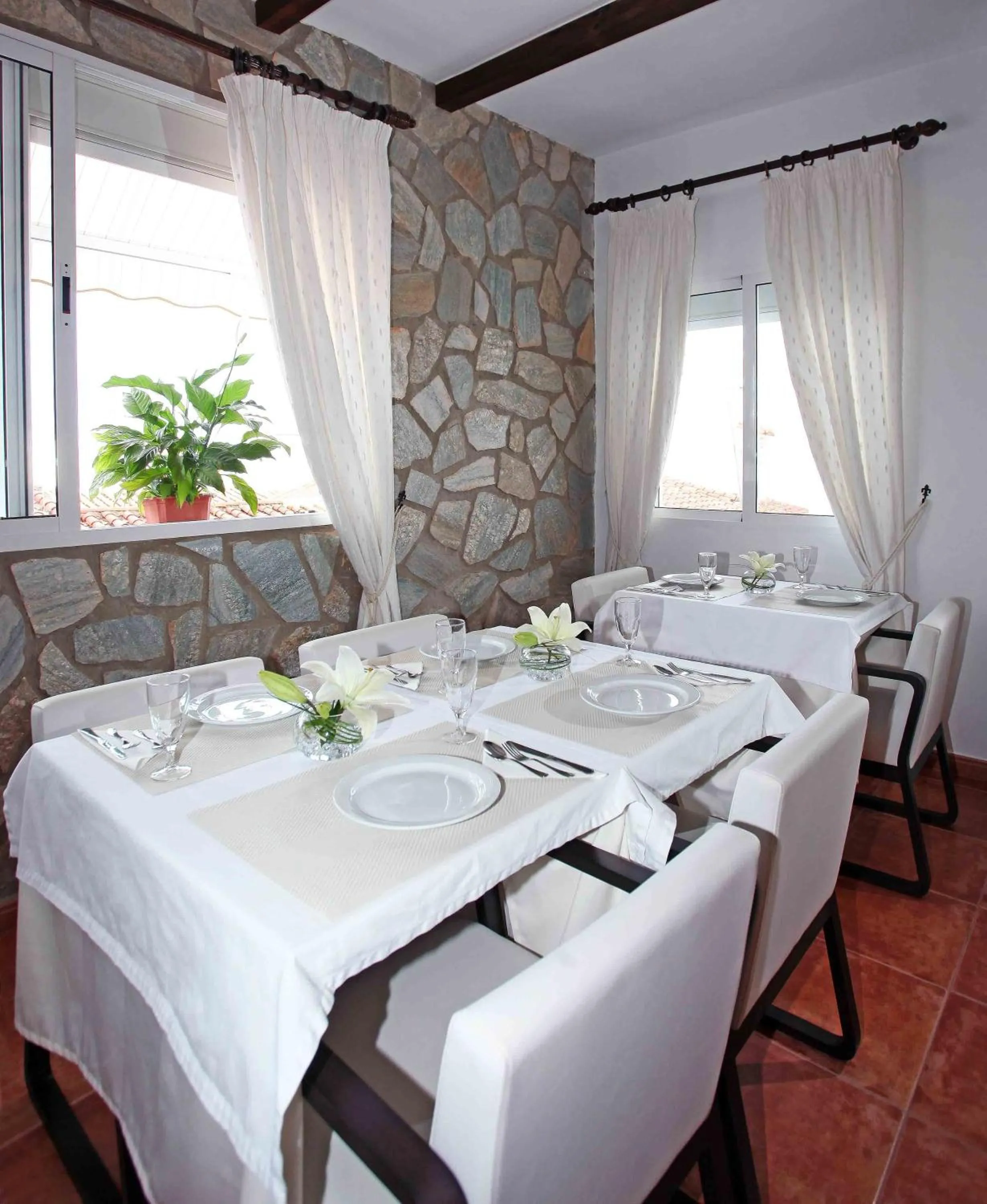 Restaurant/places to eat in Hotel Casa Rosa