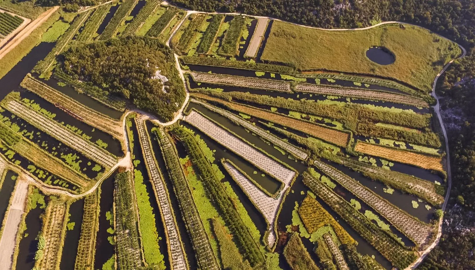Natural landscape in Hotel Merlot
