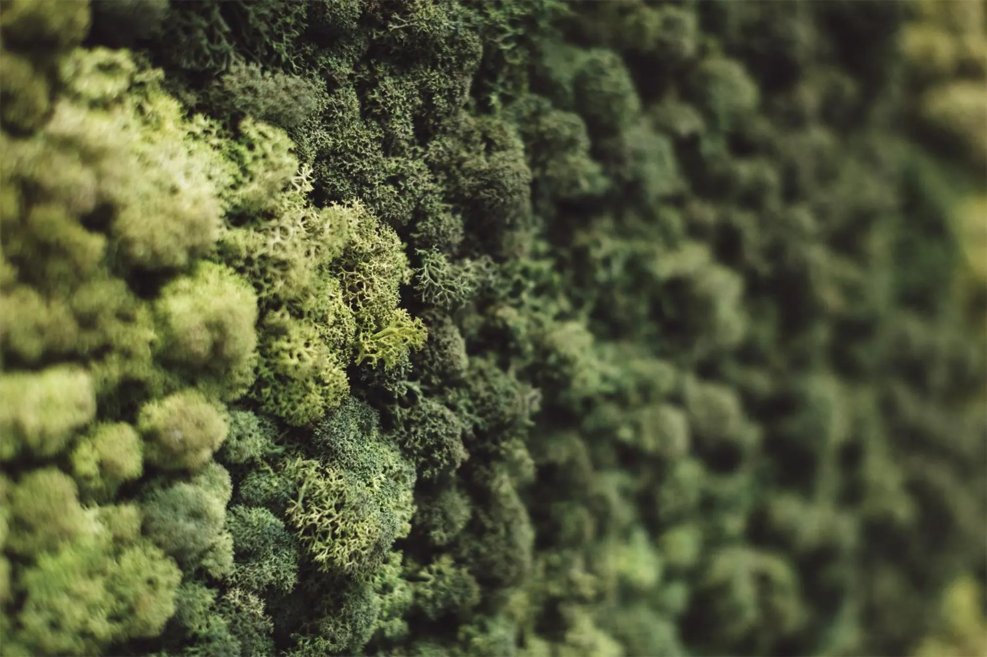 Spa and wellness centre/facilities in Roxen Hotel&Spa