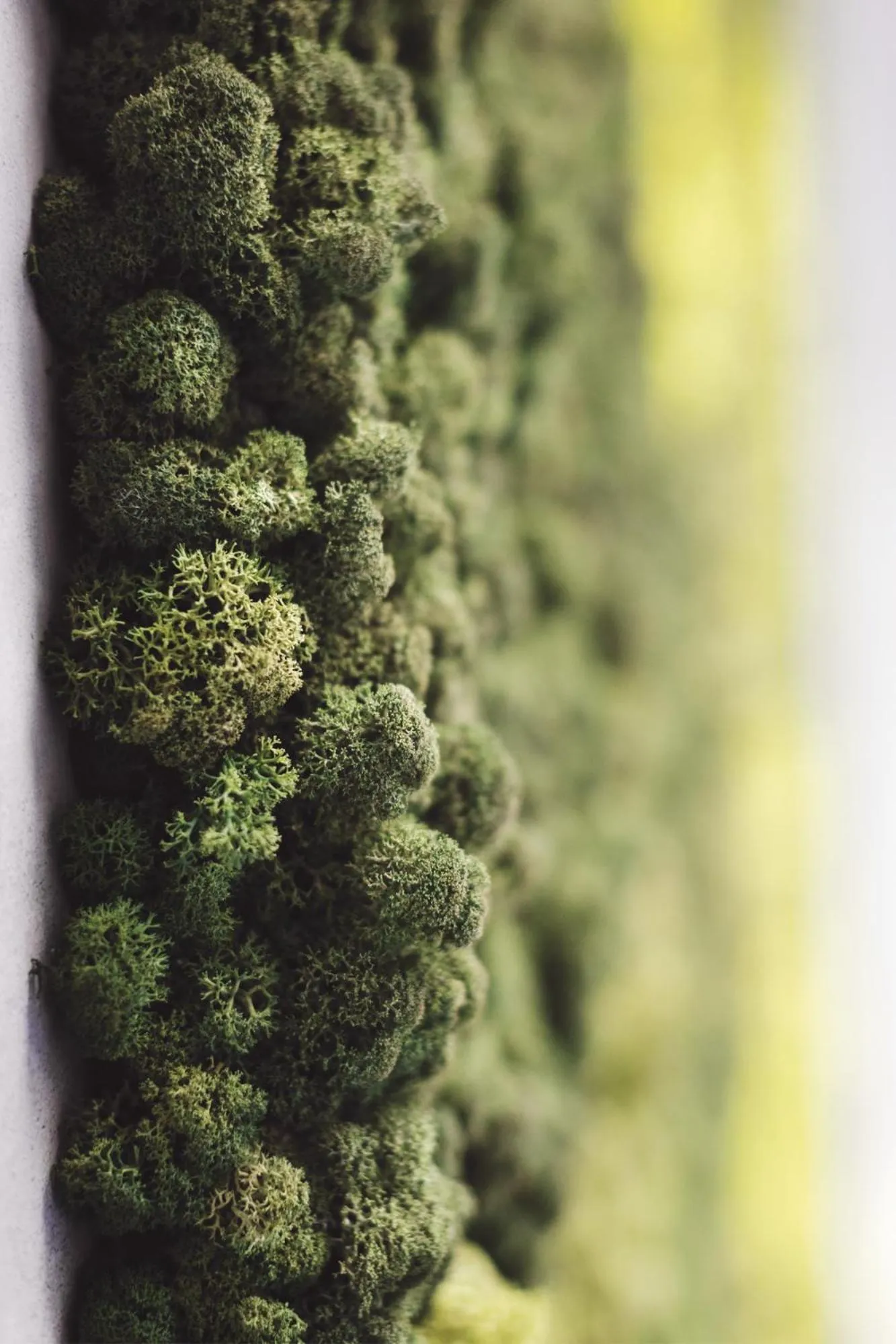 Spa and wellness centre/facilities in Roxen Hotel&Spa