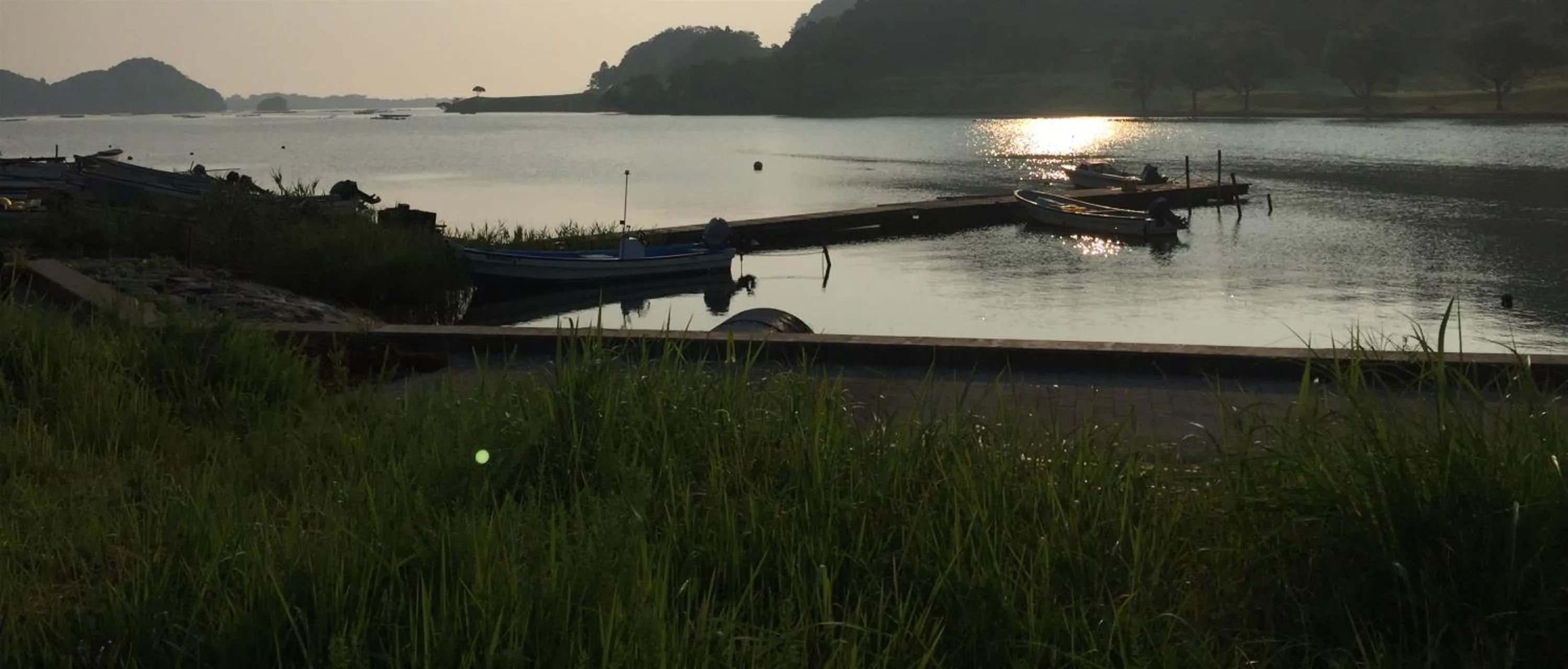 Natural landscape in Waterside Cottage Heron