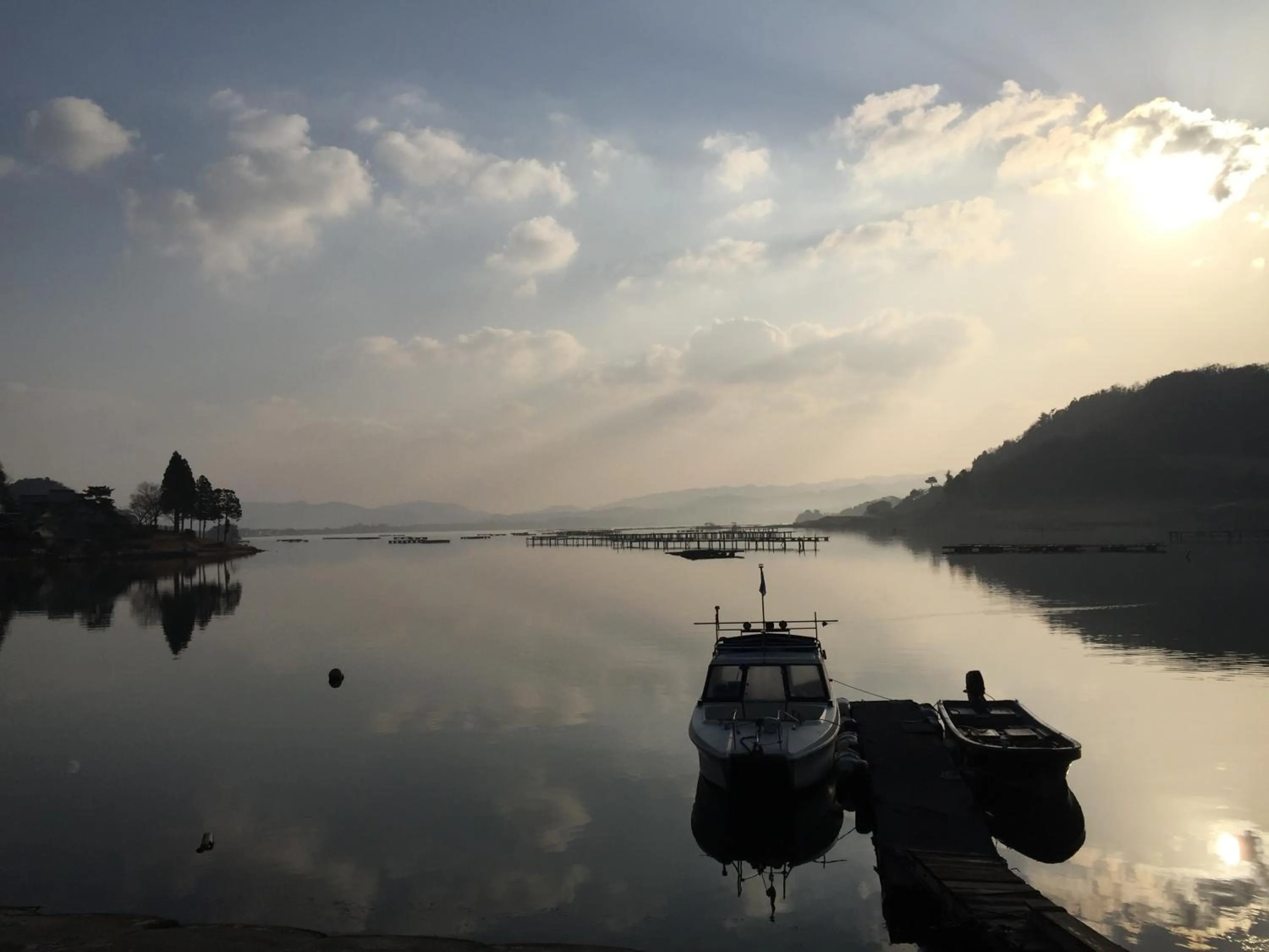 Natural landscape in Waterside Cottage Heron