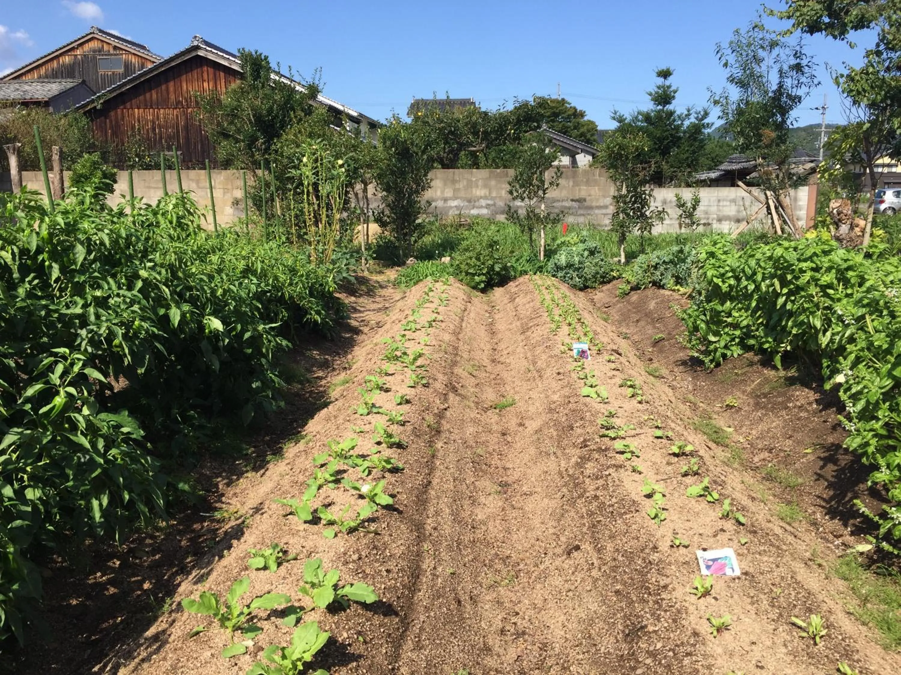 Garden in Waterside Cottage Heron