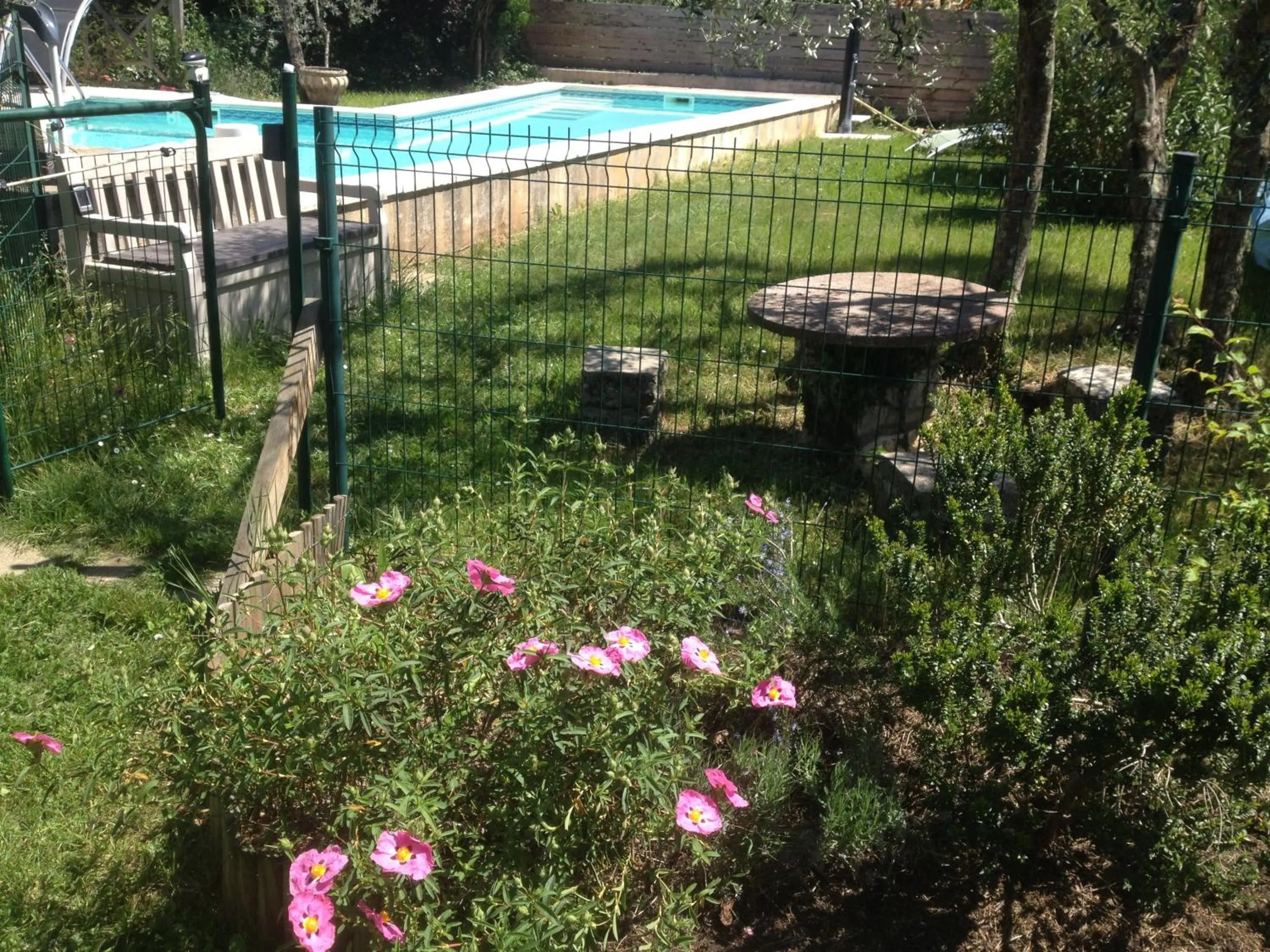 Pool view in Chambres d'Hôtes Carpe Diem