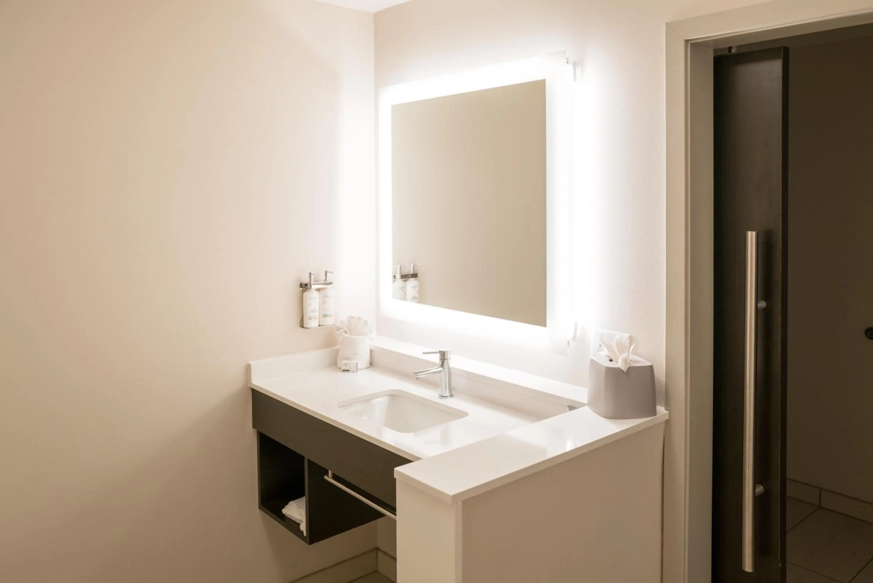 Bathroom in Holiday Inn Express & Suites Franklin - Berry Farms by IHG