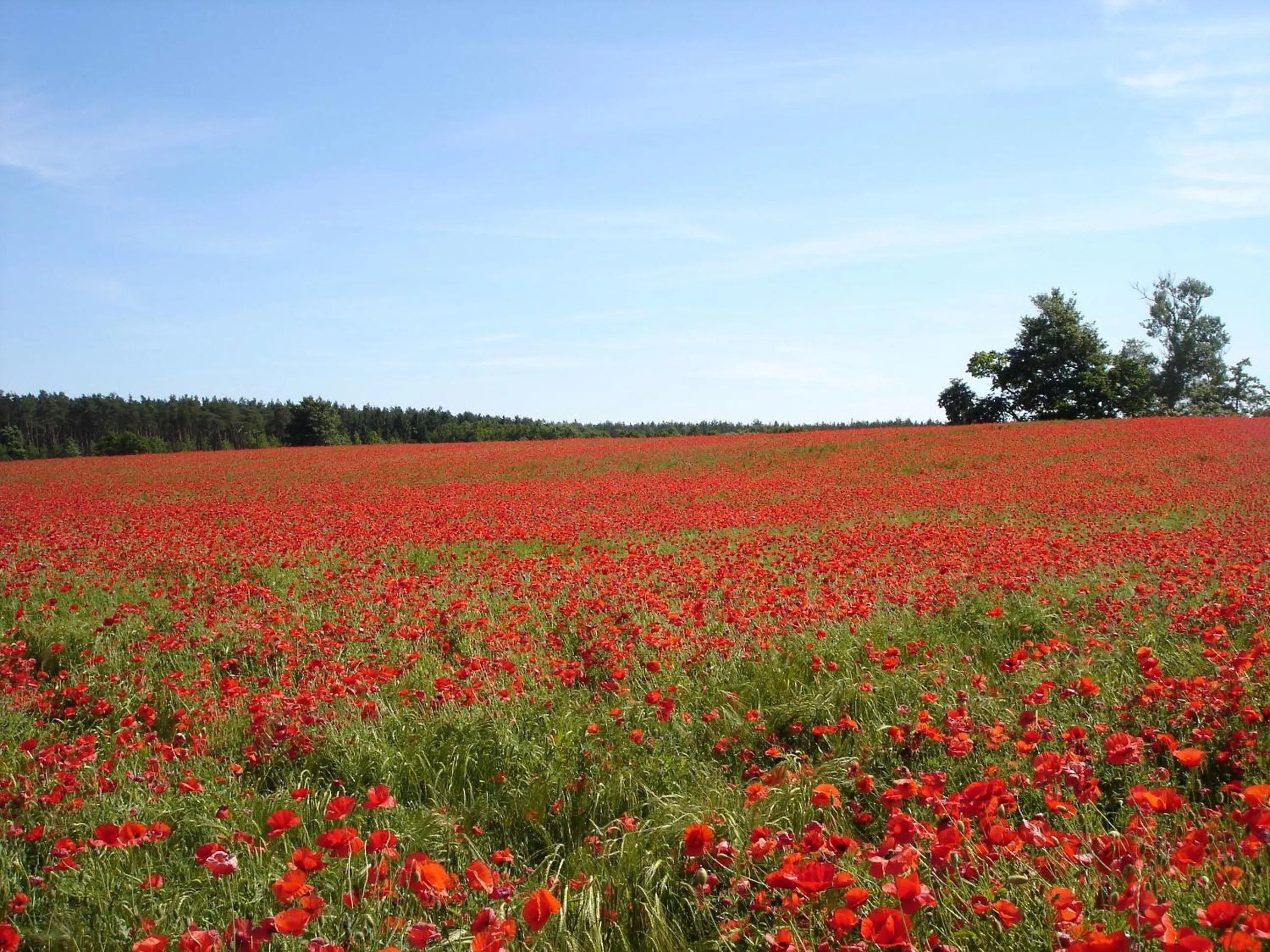 View (from property/room) in Residenz am Ostufer
