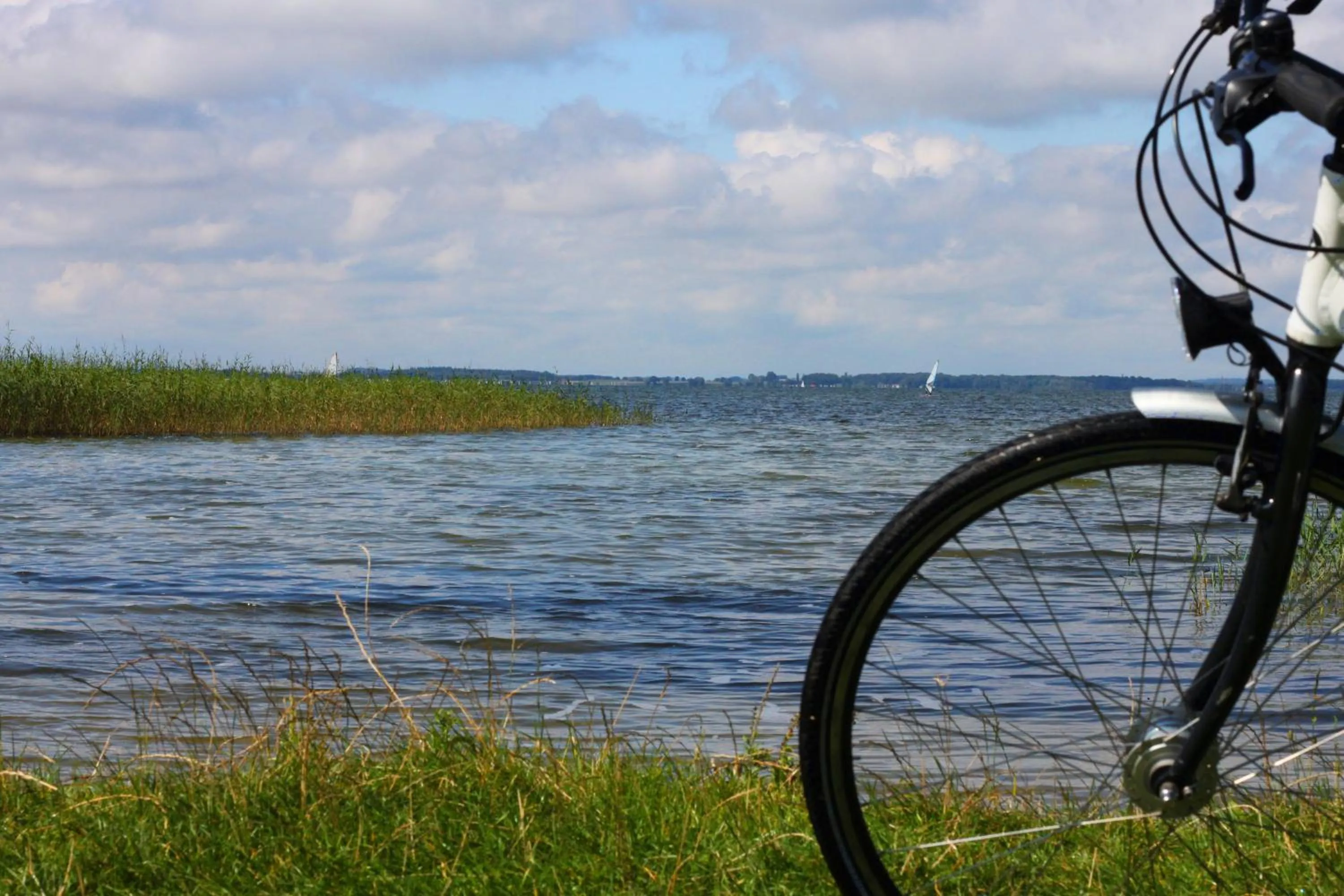 Beach in Residenz am Ostufer