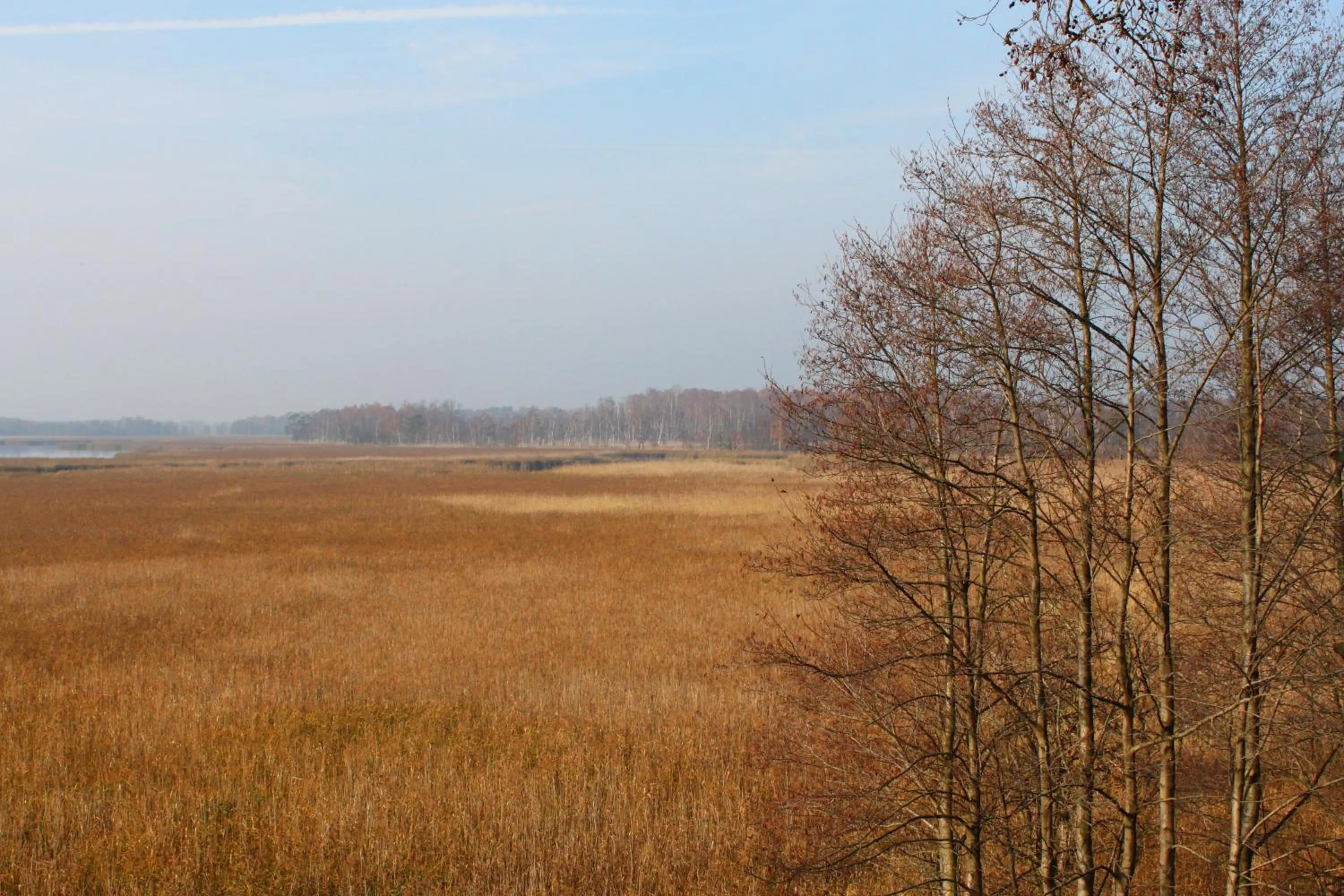 Hiking in Residenz am Ostufer