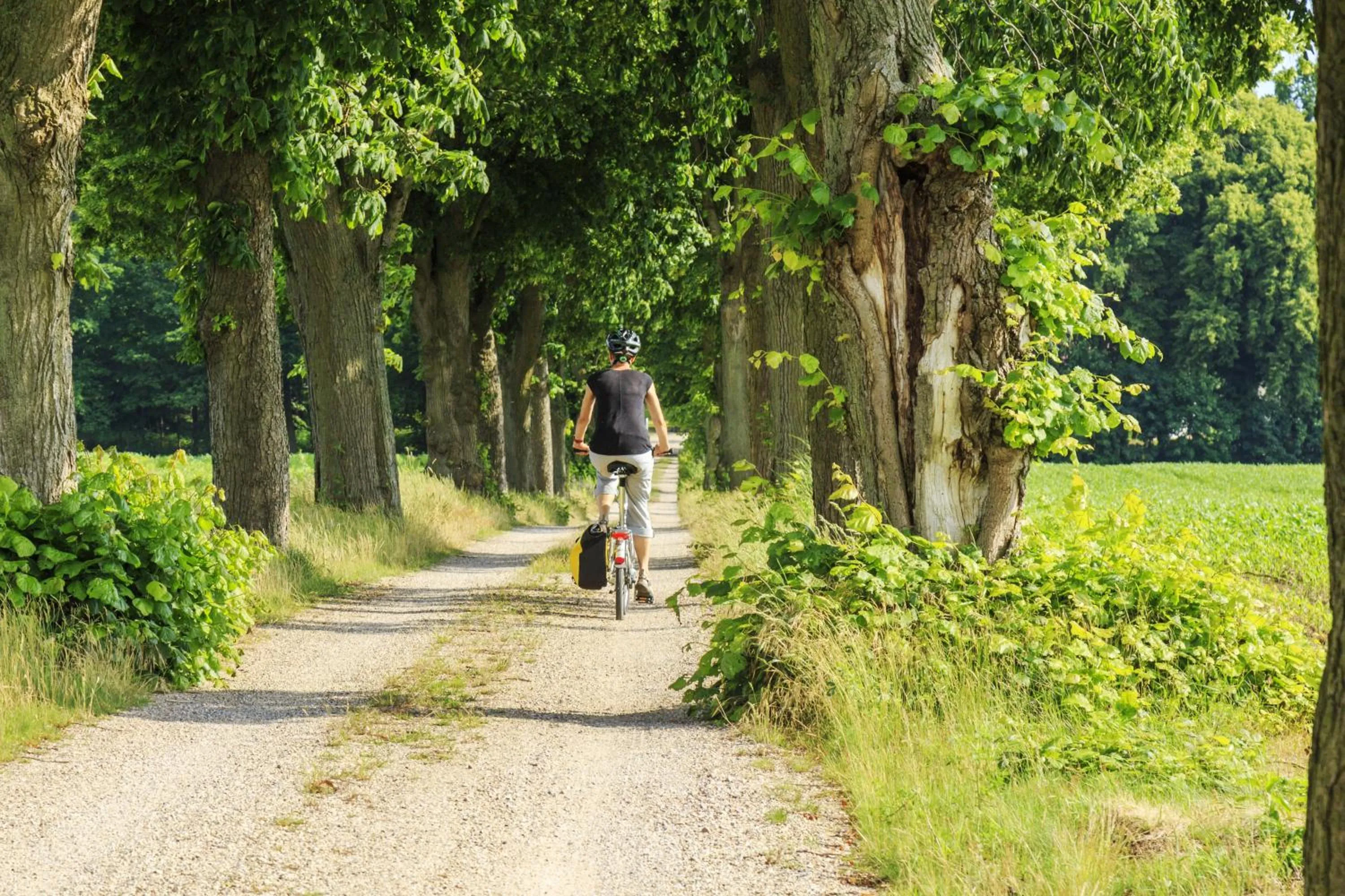 Natural landscape in Residenz am Ostufer