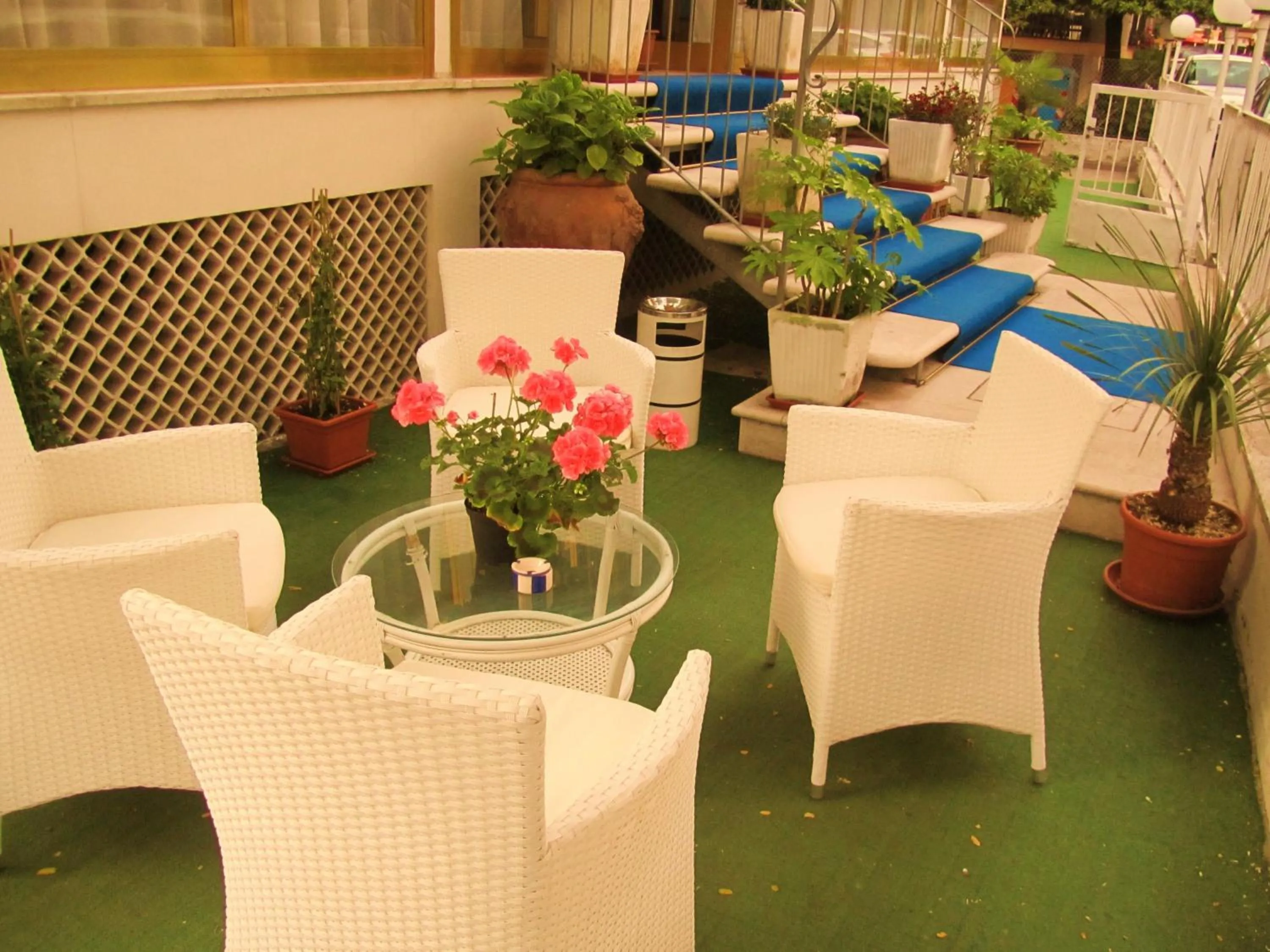 Garden in Hotel Italia Boutique