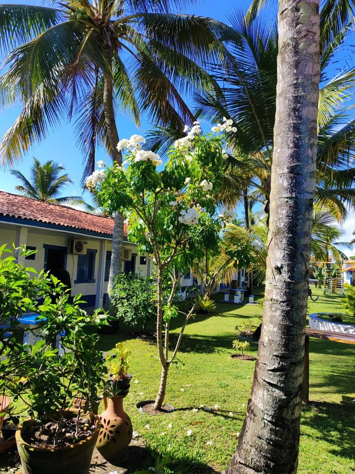 Garden in Morada dos Coqueiros Praia Hotel