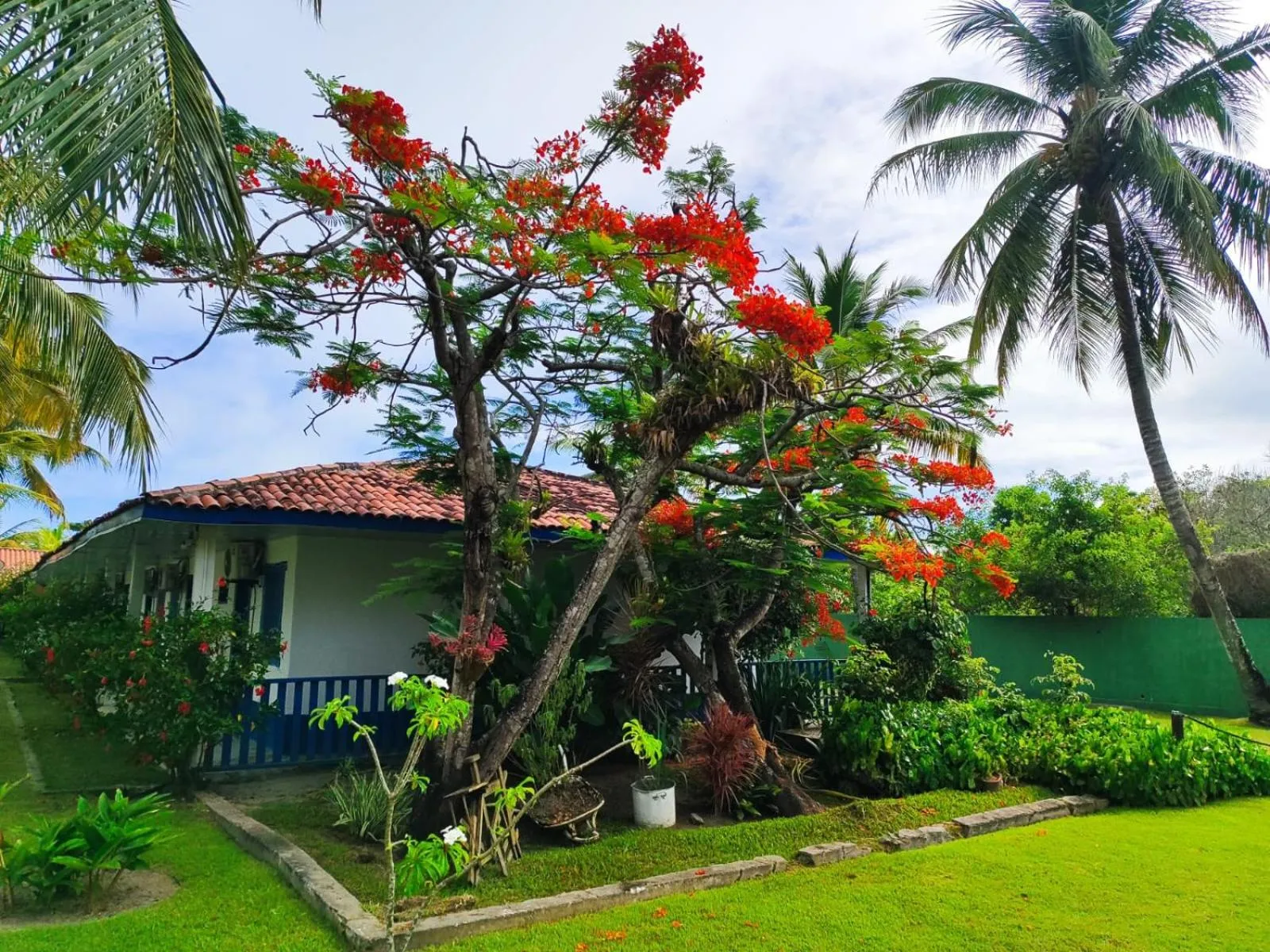 Garden in Morada dos Coqueiros Praia Hotel
