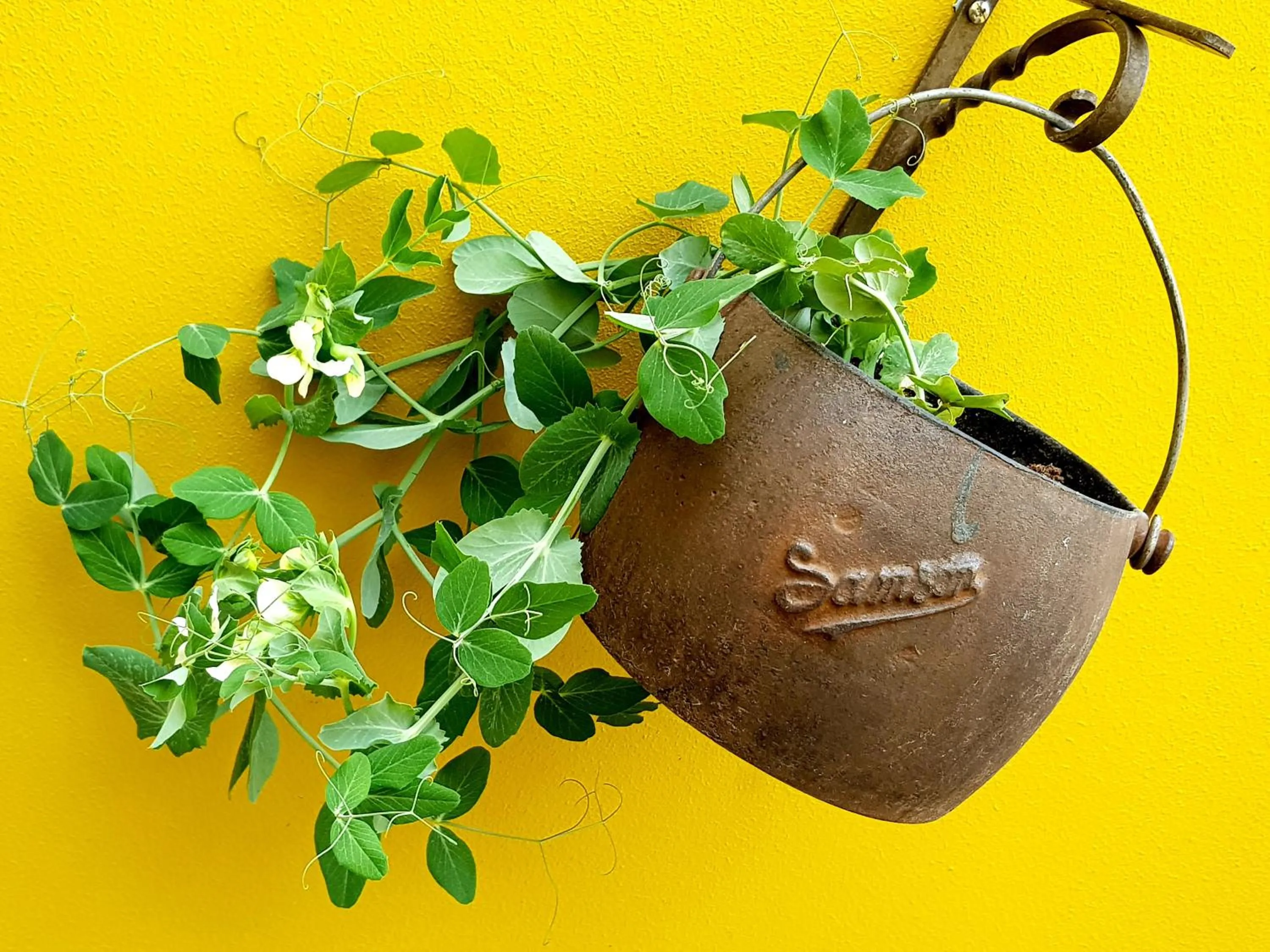 Decorative detail in Old Town Quito Suites, Heritage Hotel, Historic center