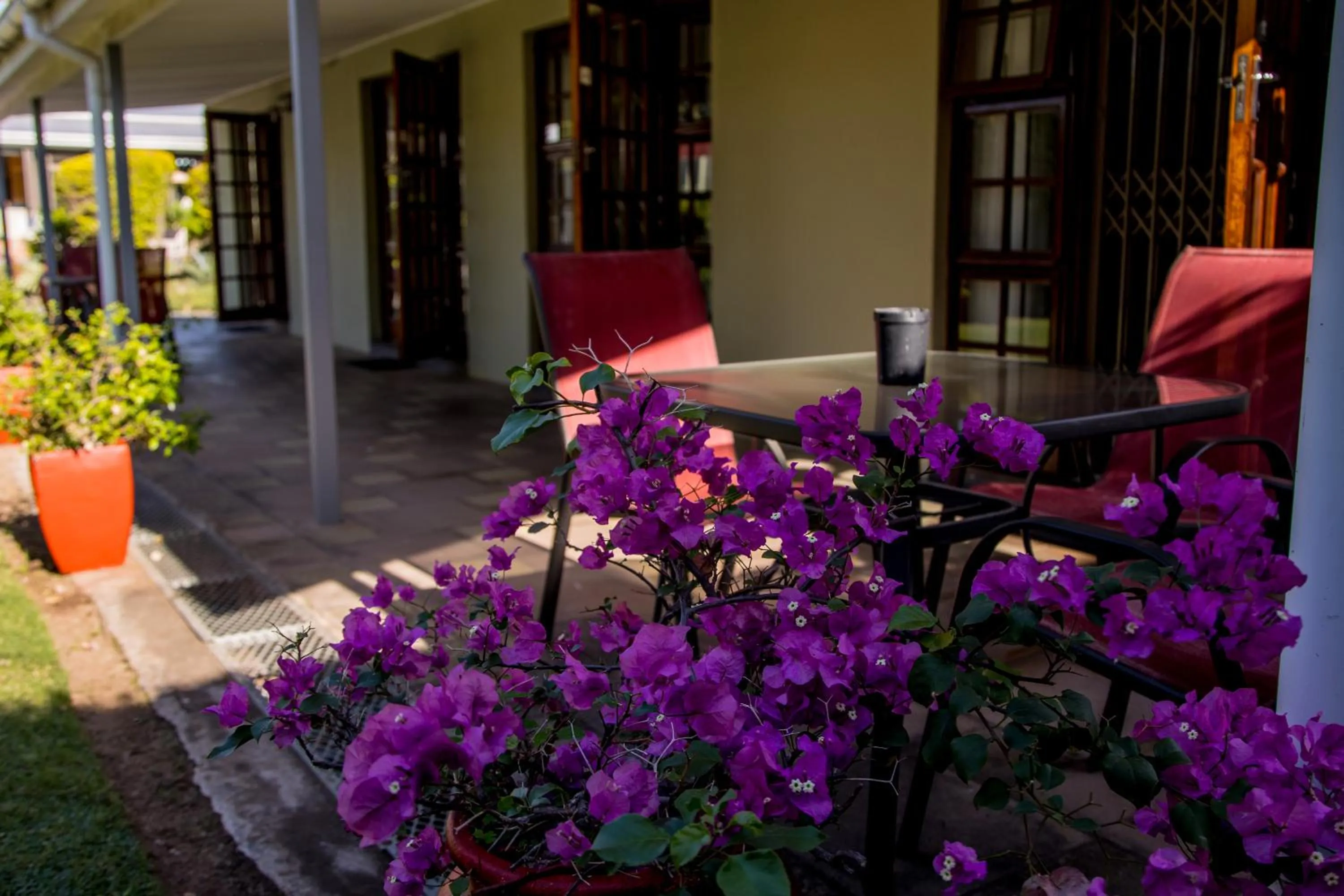 Patio in Twins Guesthouse NO LOAD SHEDDING